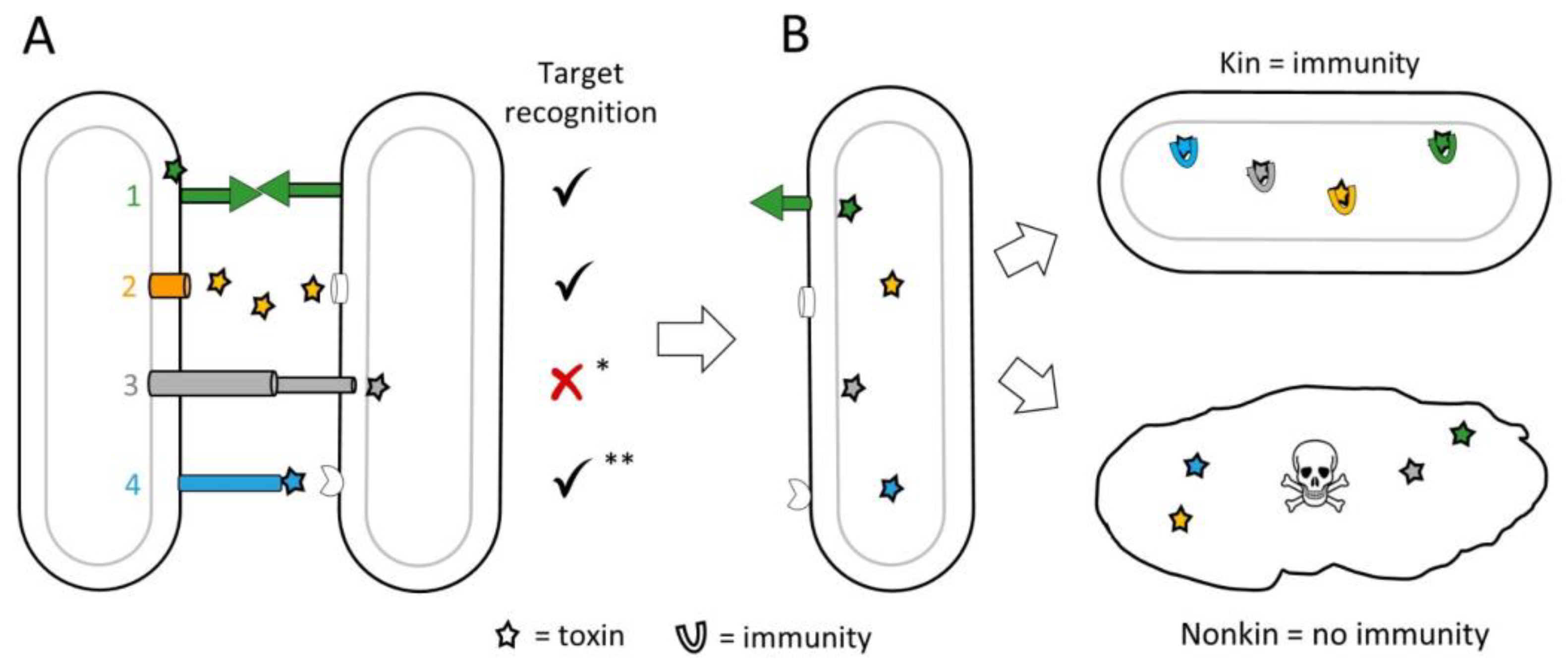 Genes Free FullText Social Diversification Driven by Mobile