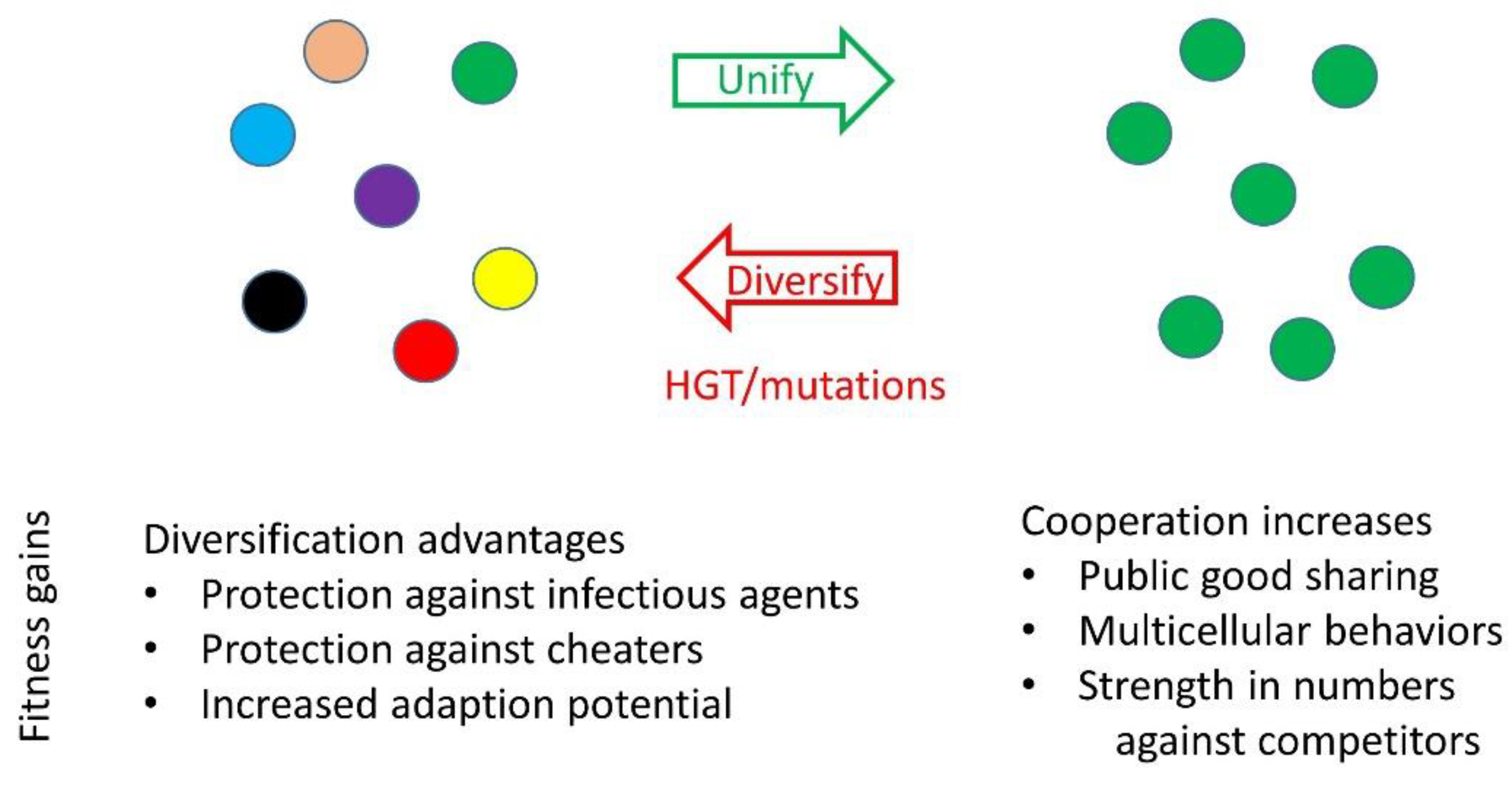 Genes 14 00648 g004 Genes 14 00648 g004