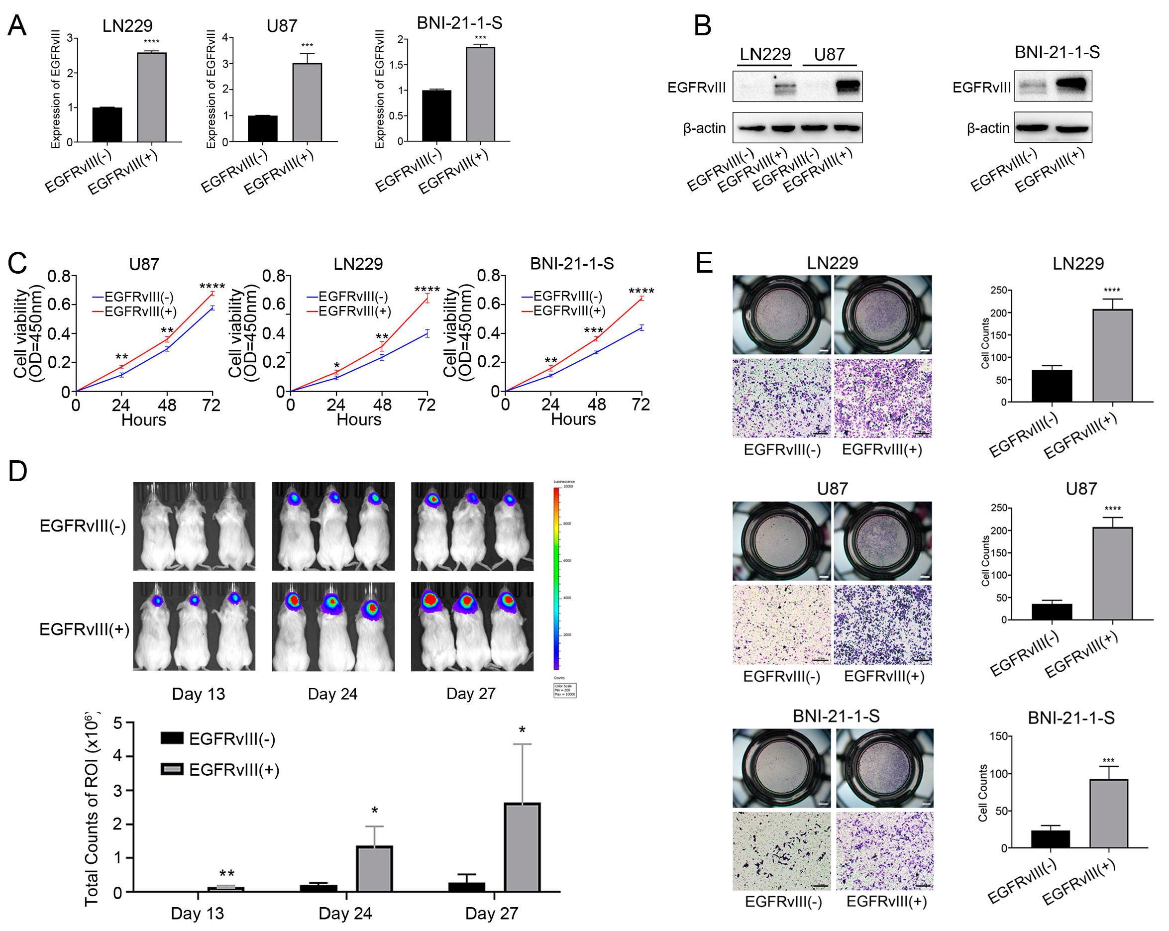 Genes 14 00651 g002 Genes 14 00651 g002