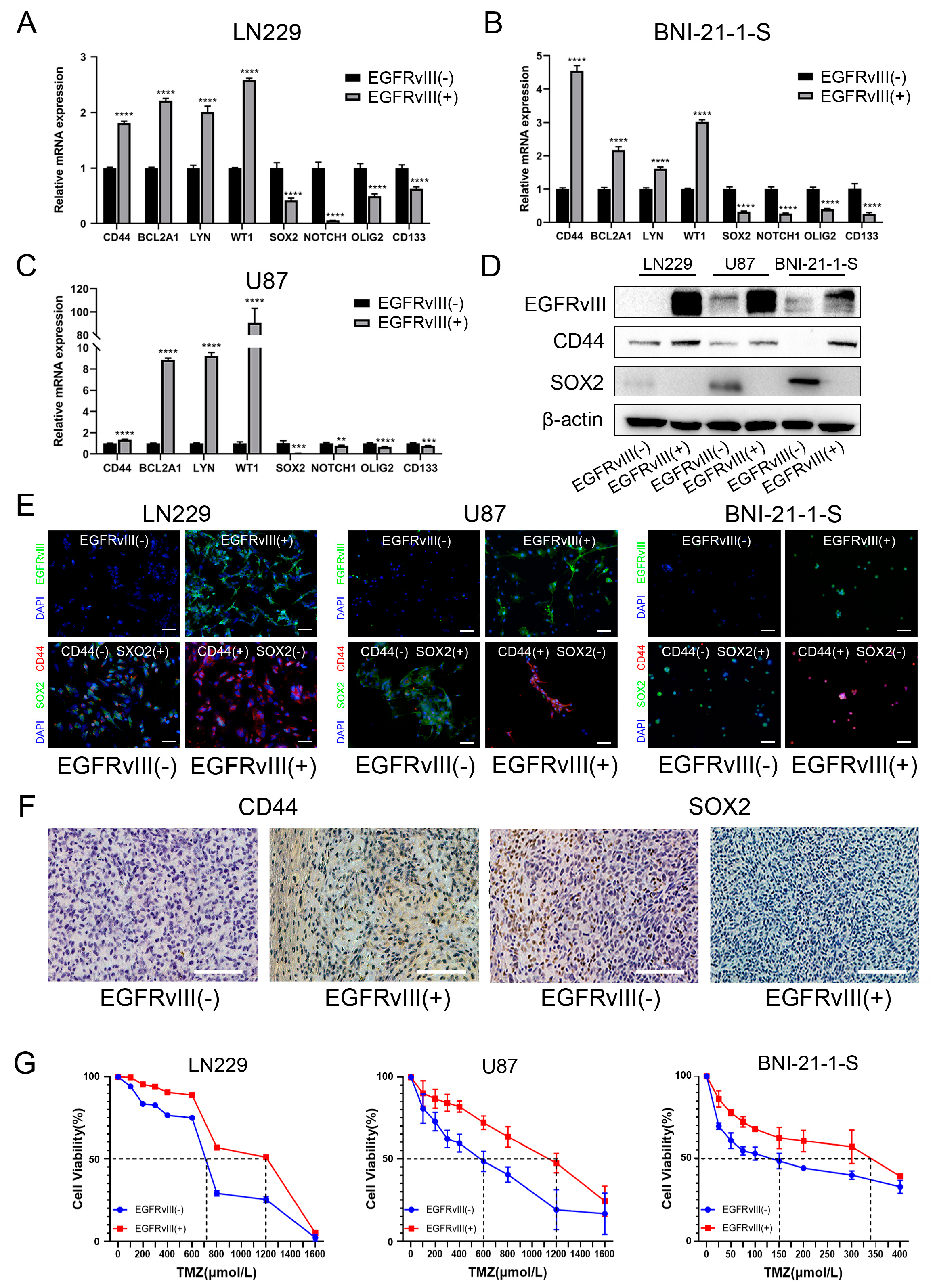 Genes 14 00651 g003 Genes 14 00651 g003
