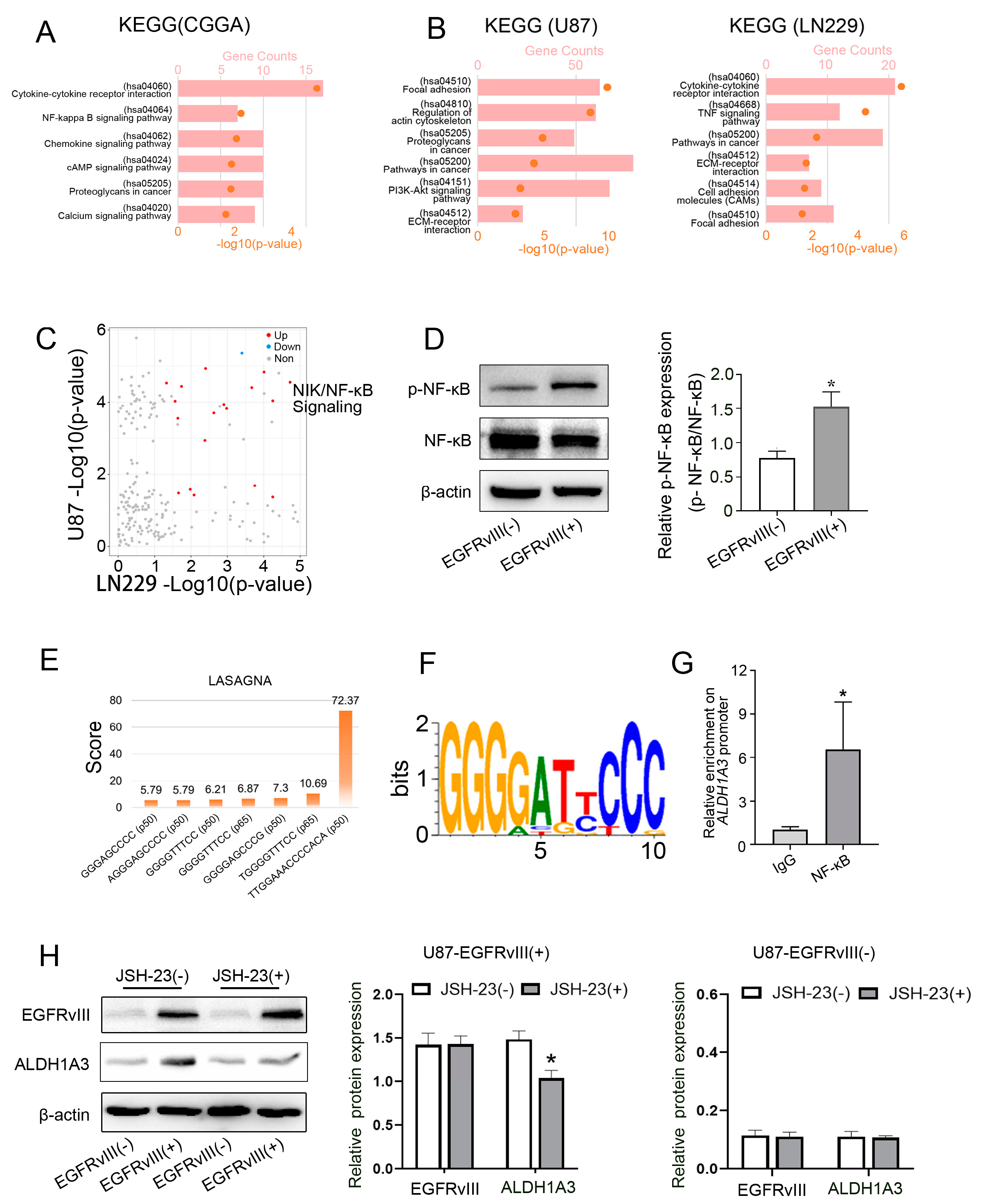 Genes 14 00651 g005 Genes 14 00651 g005