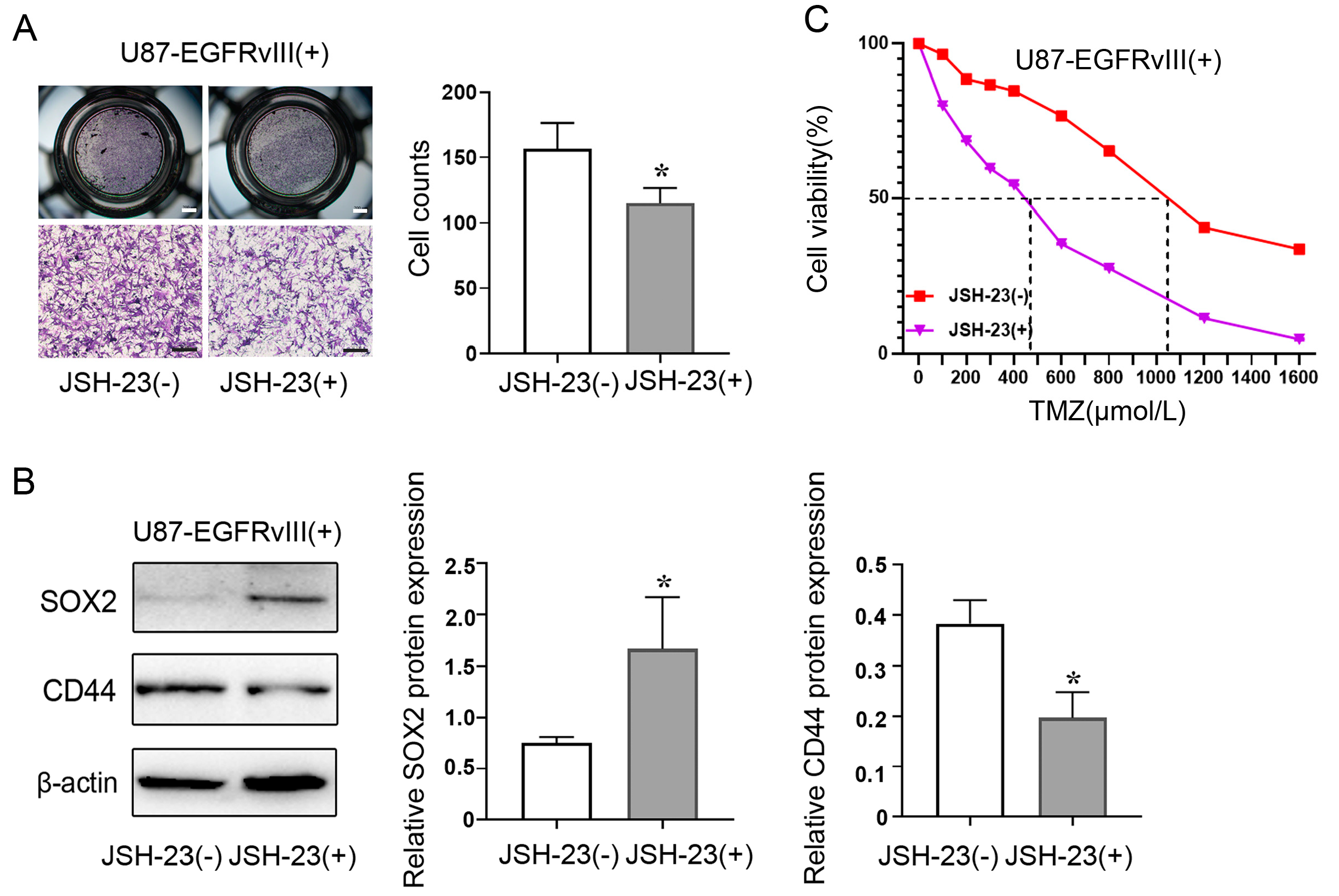 Genes 14 00651 g006 Genes 14 00651 g006