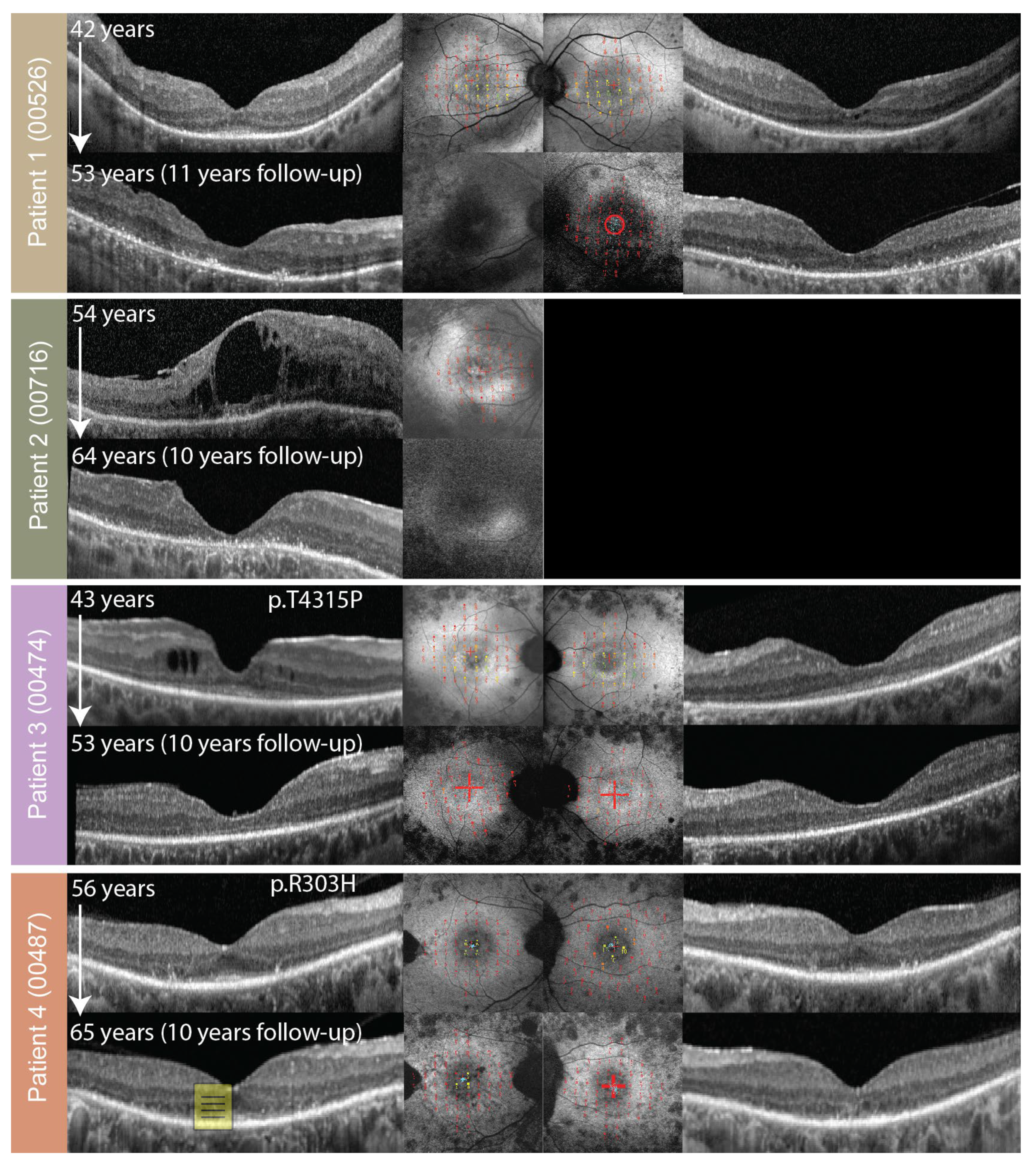 Genes 14 00652 g003 Genes 14 00652 g003