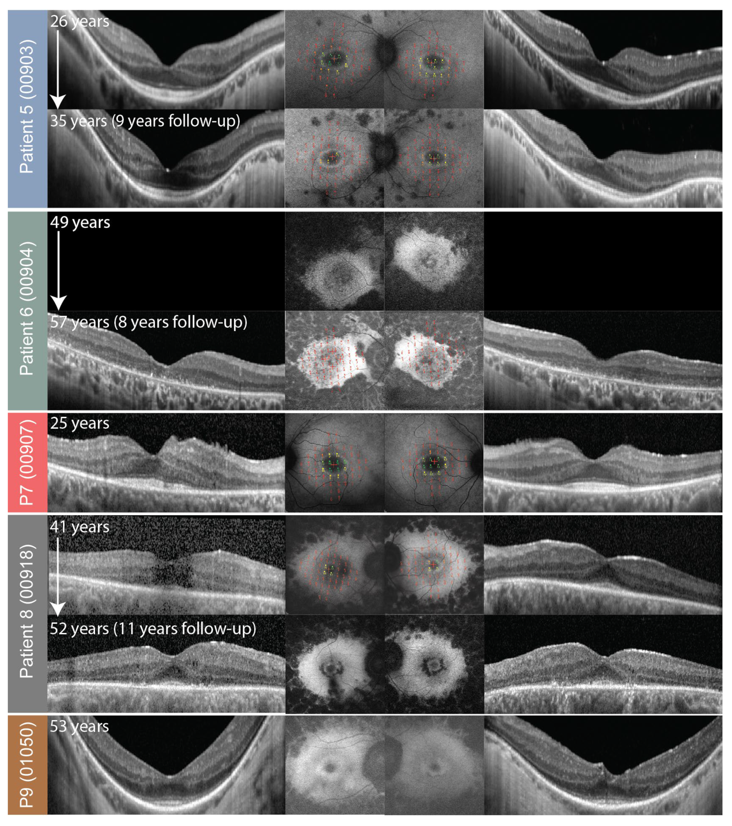 Genes 14 00652 g006 Genes 14 00652 g006