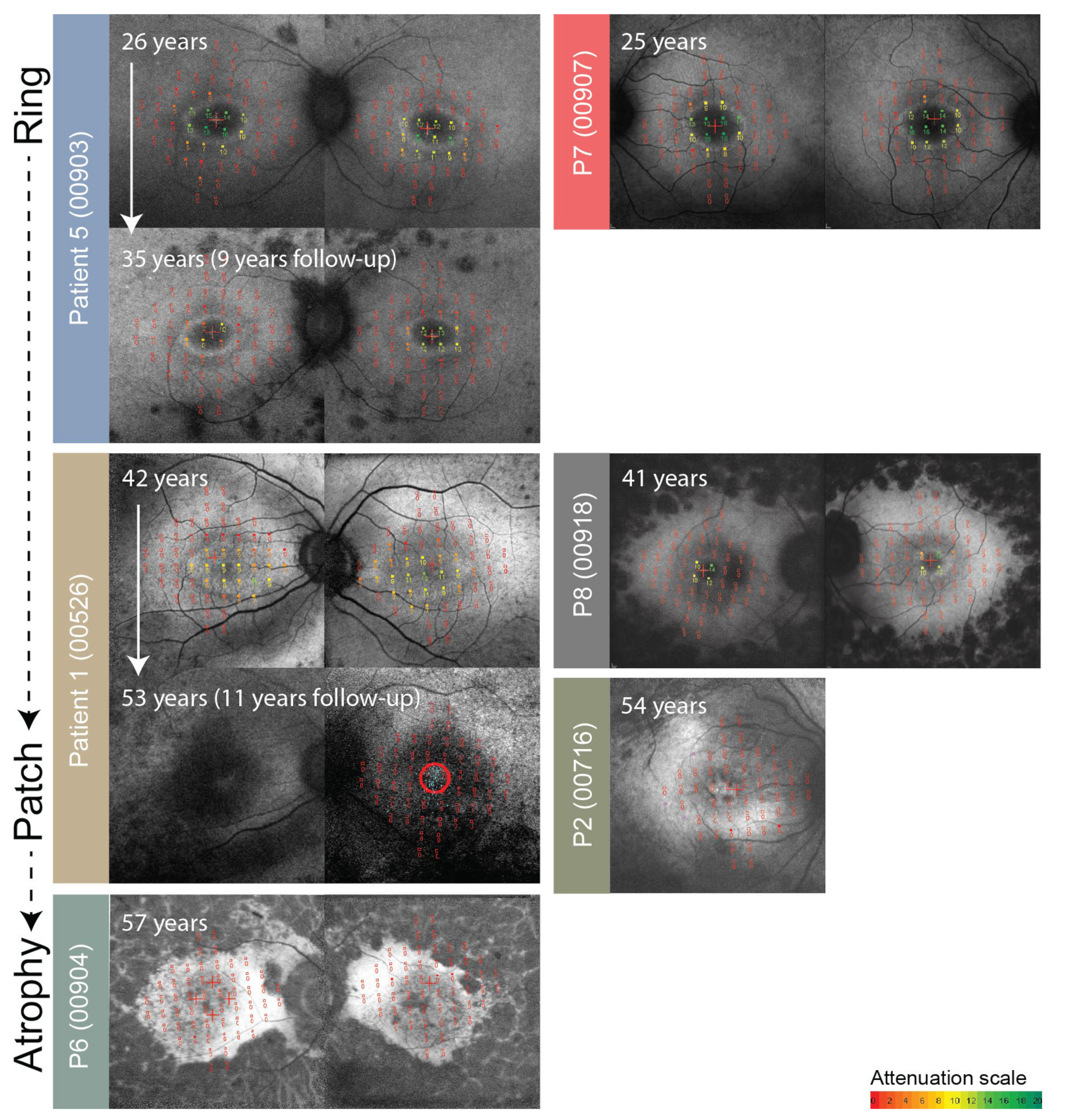 Genes 14 00652 g007 Genes 14 00652 g007