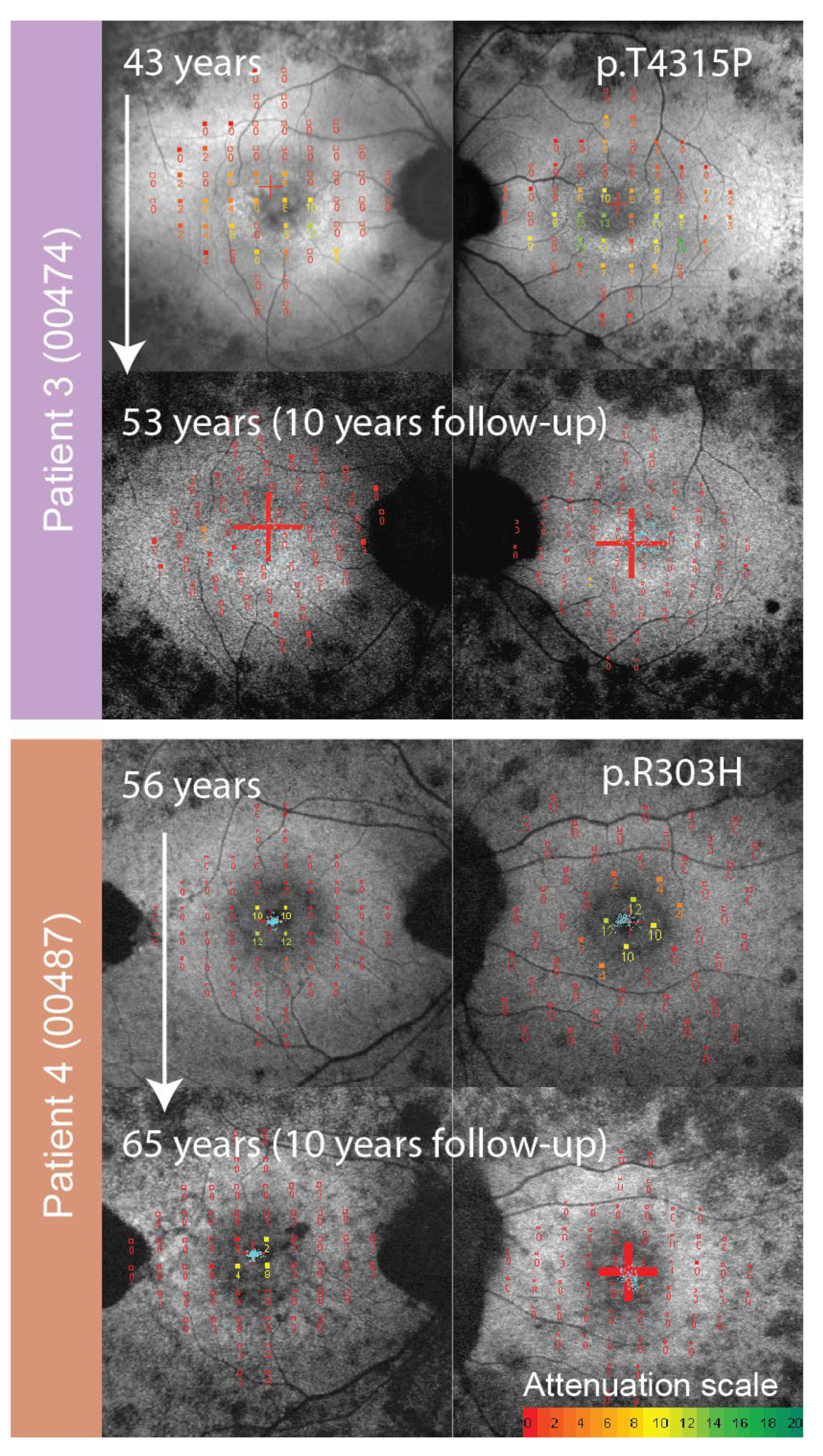 Genes 14 00652 g008 Genes 14 00652 g008