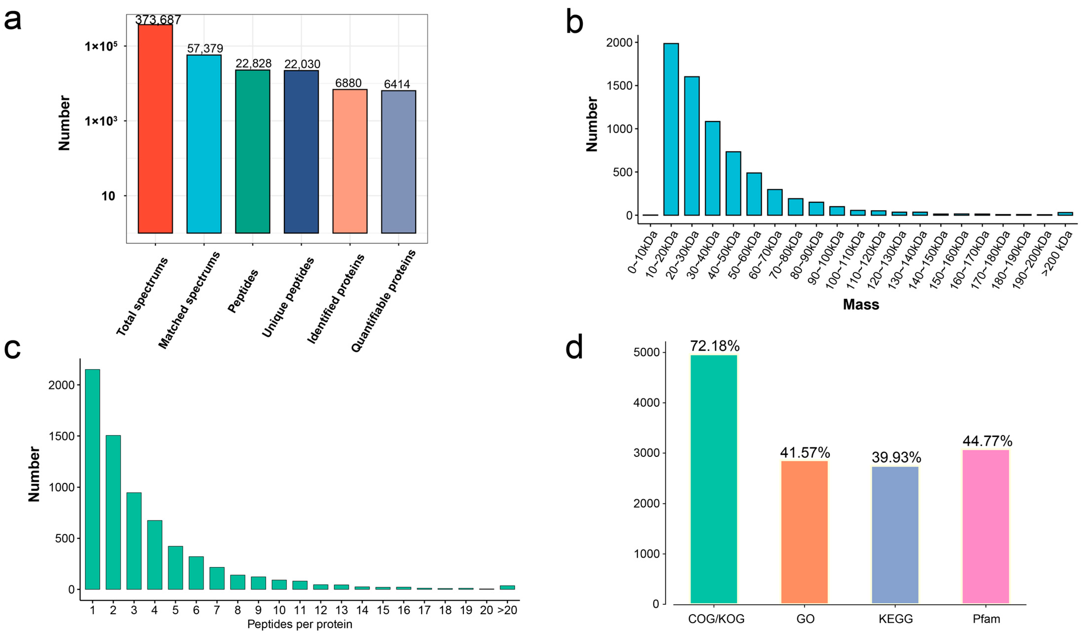 Genes 14 00656 g001 Genes 14 00656 g001