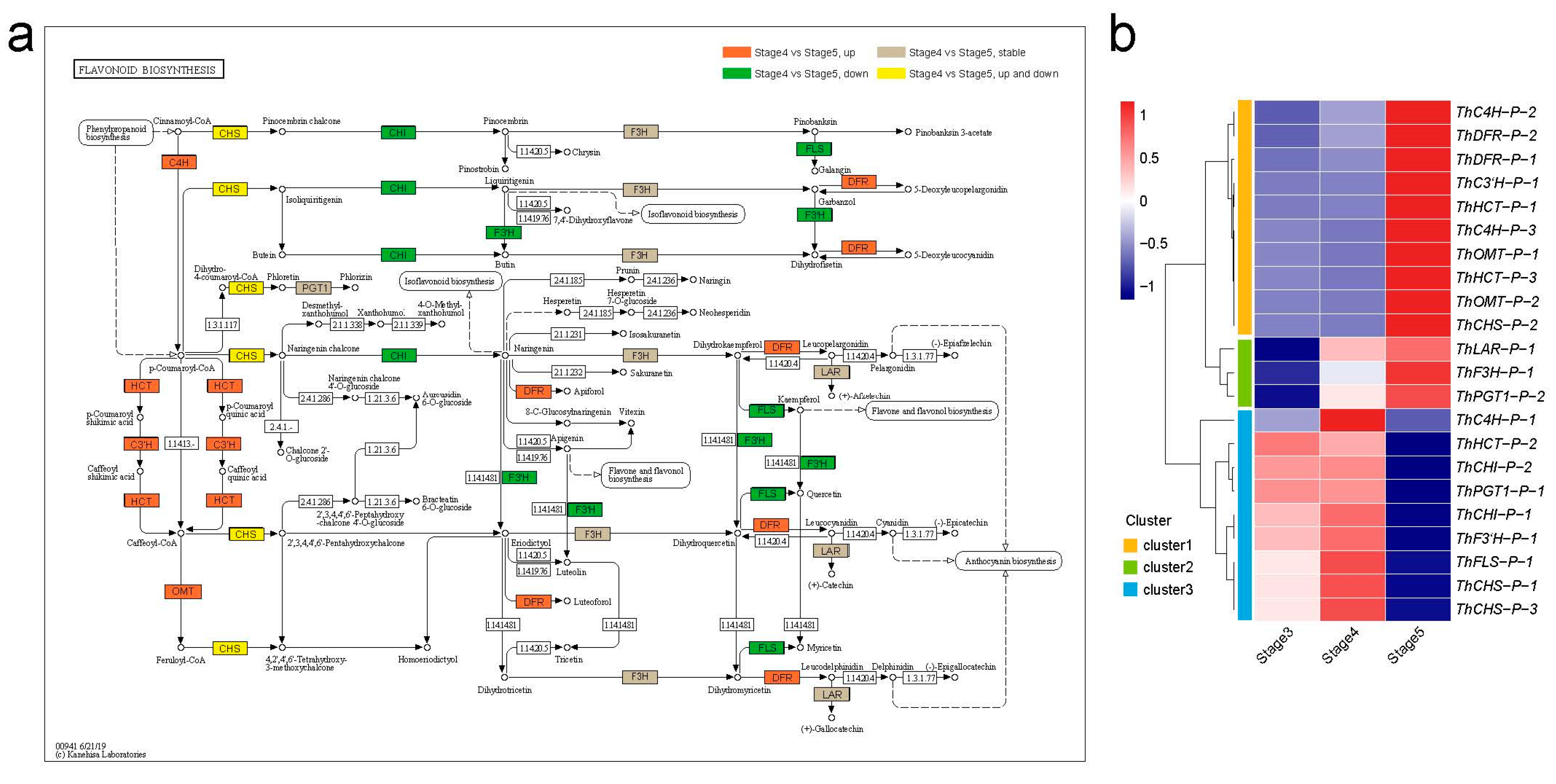 Genes 14 00656 g004 Genes 14 00656 g004