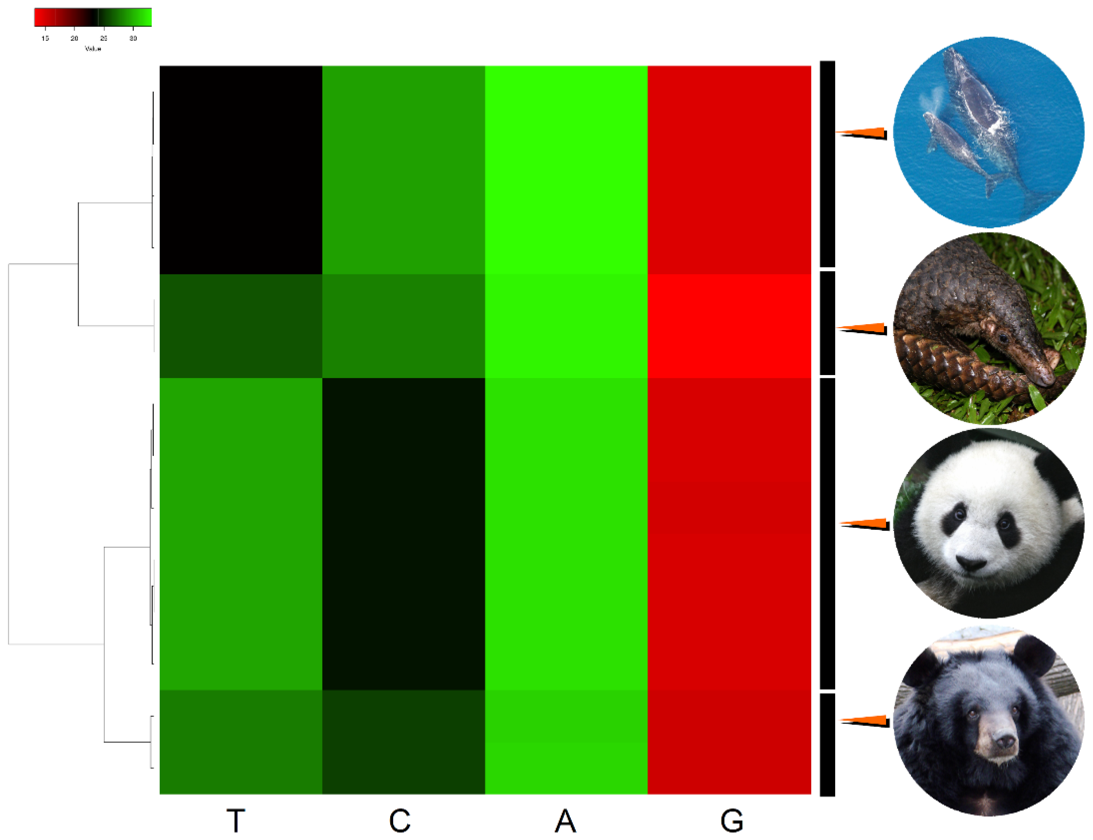 Genes 14 00657 g002 Genes 14 00657 g002
