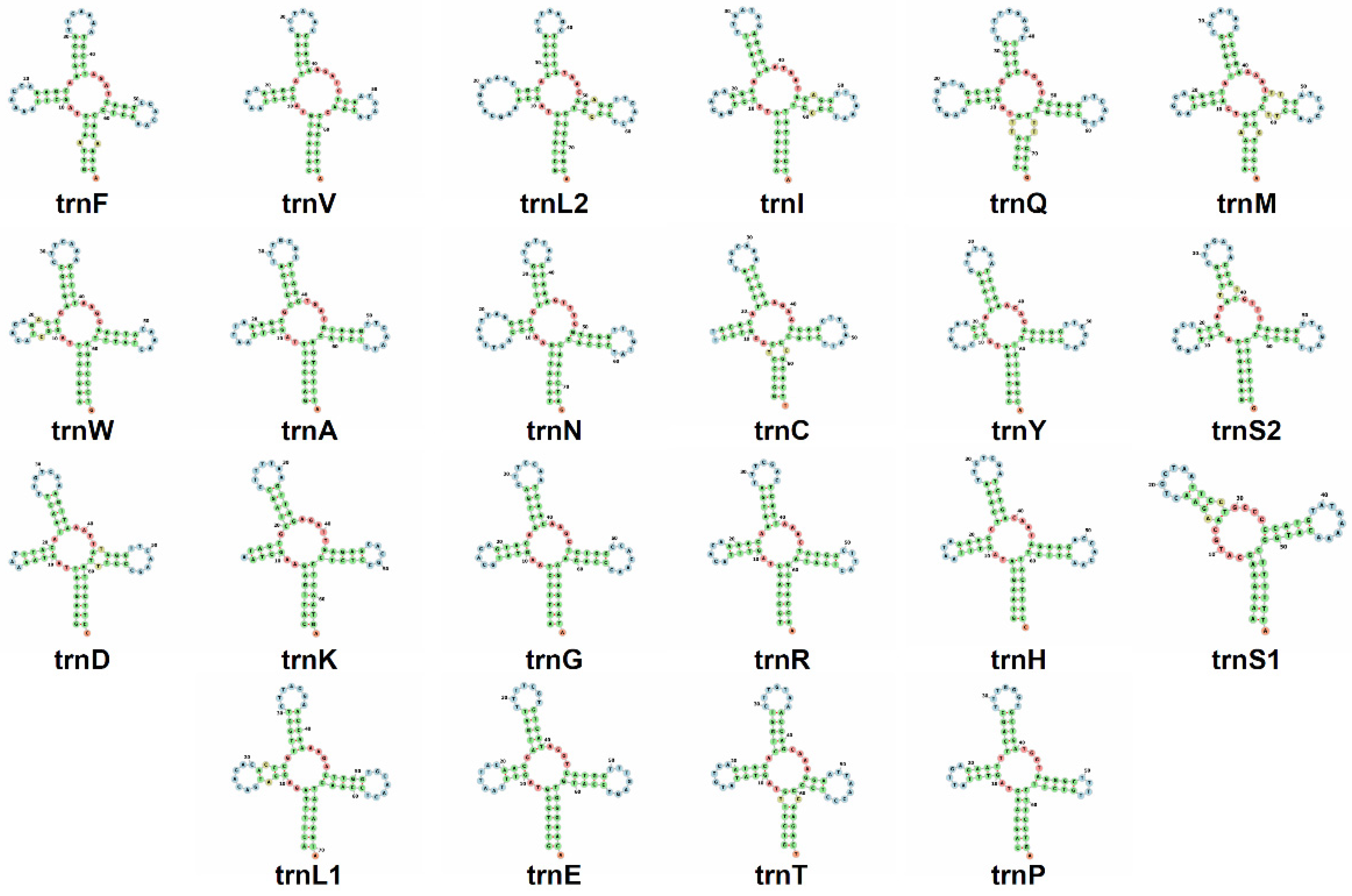 Genes 14 00657 g005 Genes 14 00657 g005
