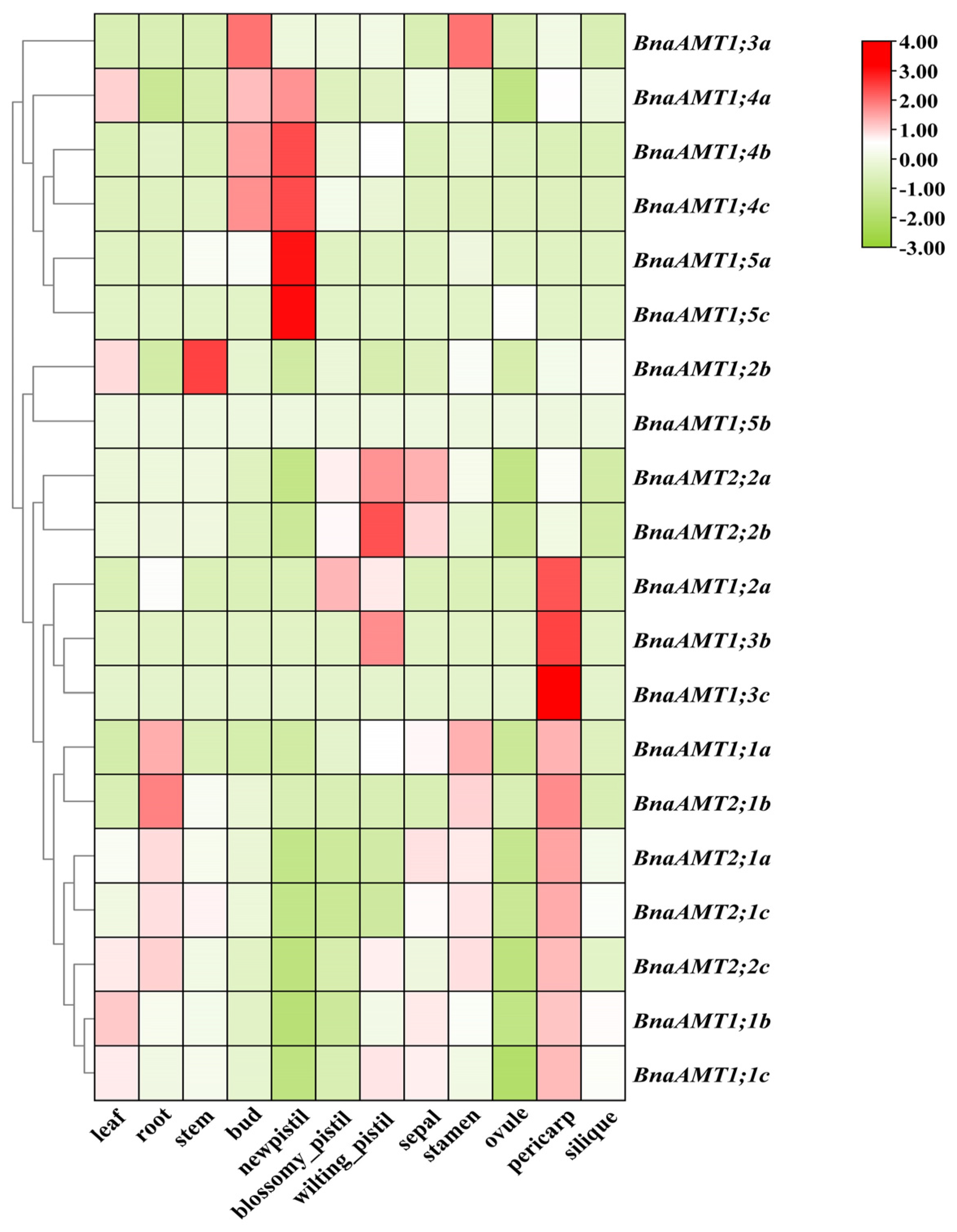 Genes 14 00658 g003 Genes 14 00658 g003