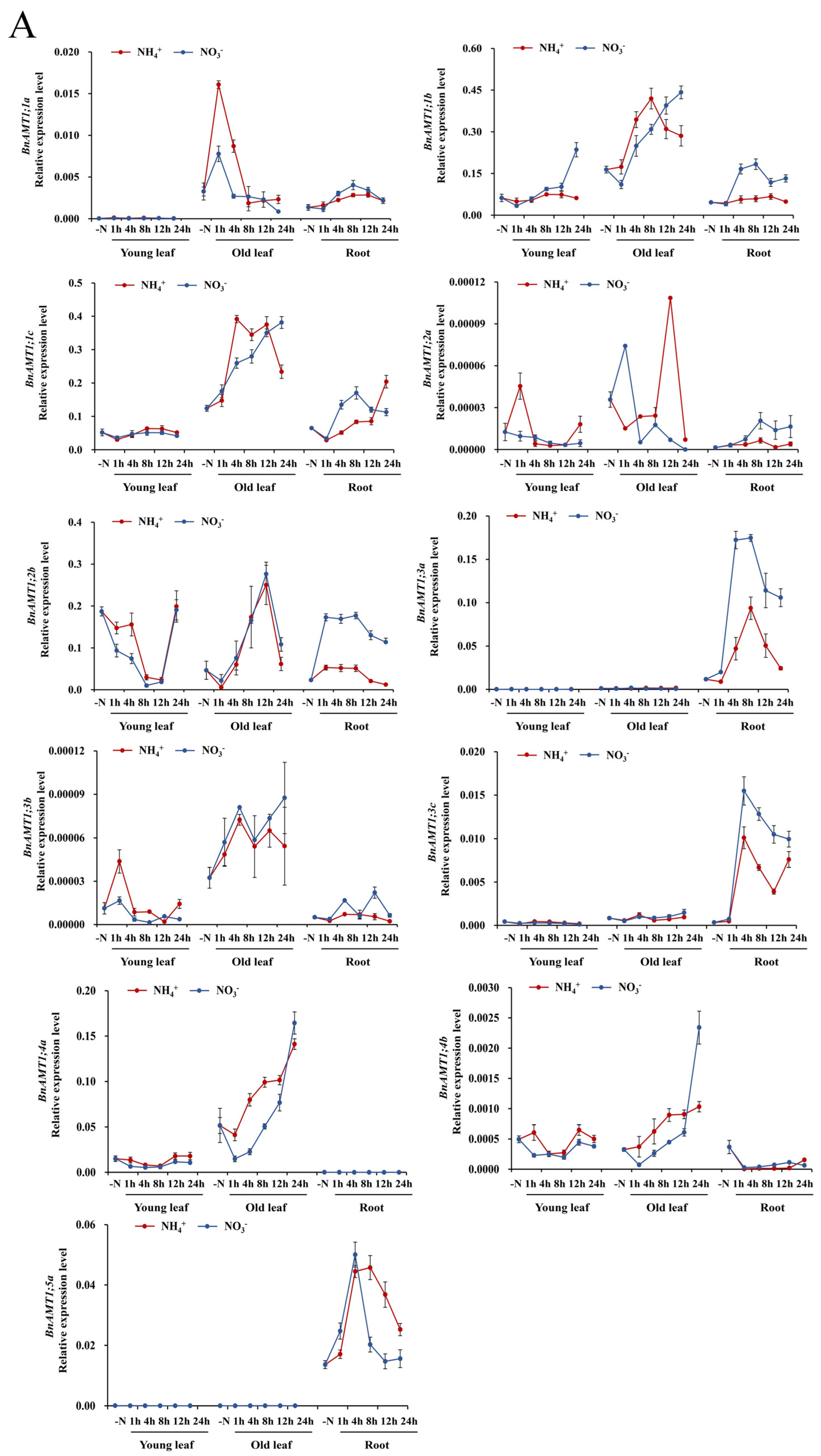 Genes 14 00658 g004a Genes 14 00658 g004a