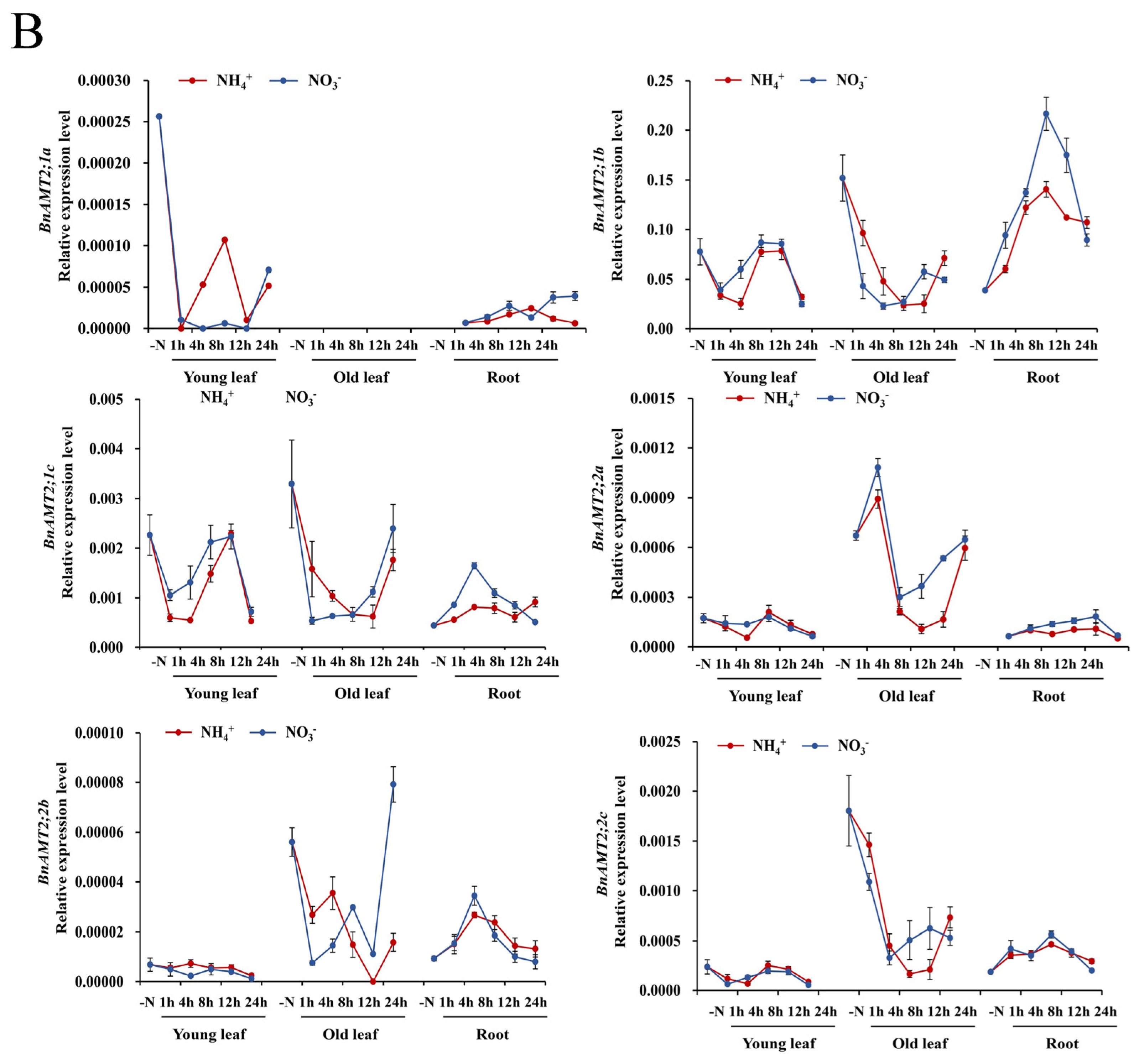 Genes 14 00658 g004b Genes 14 00658 g004b