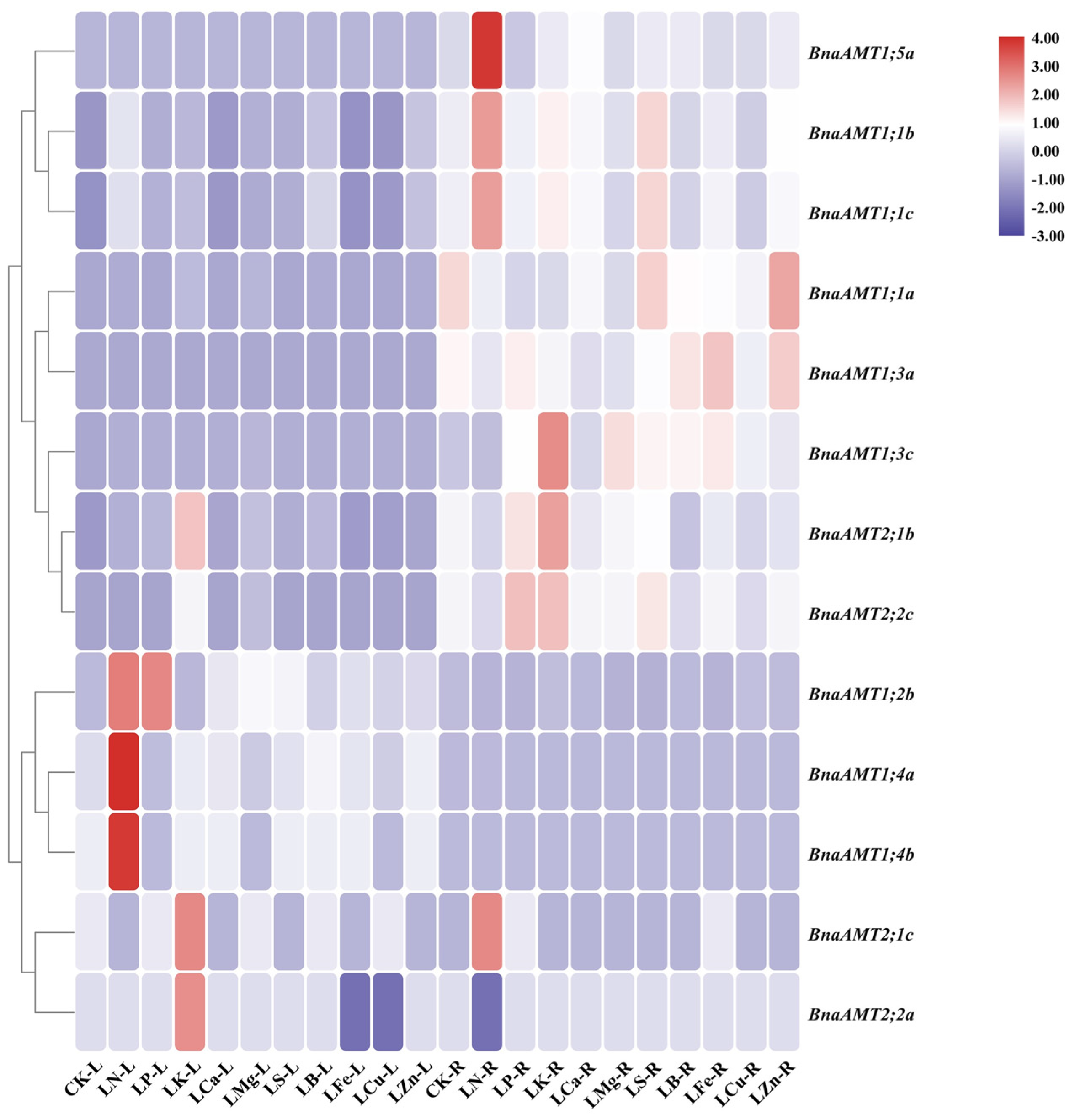 Genes 14 00658 g005 Genes 14 00658 g005