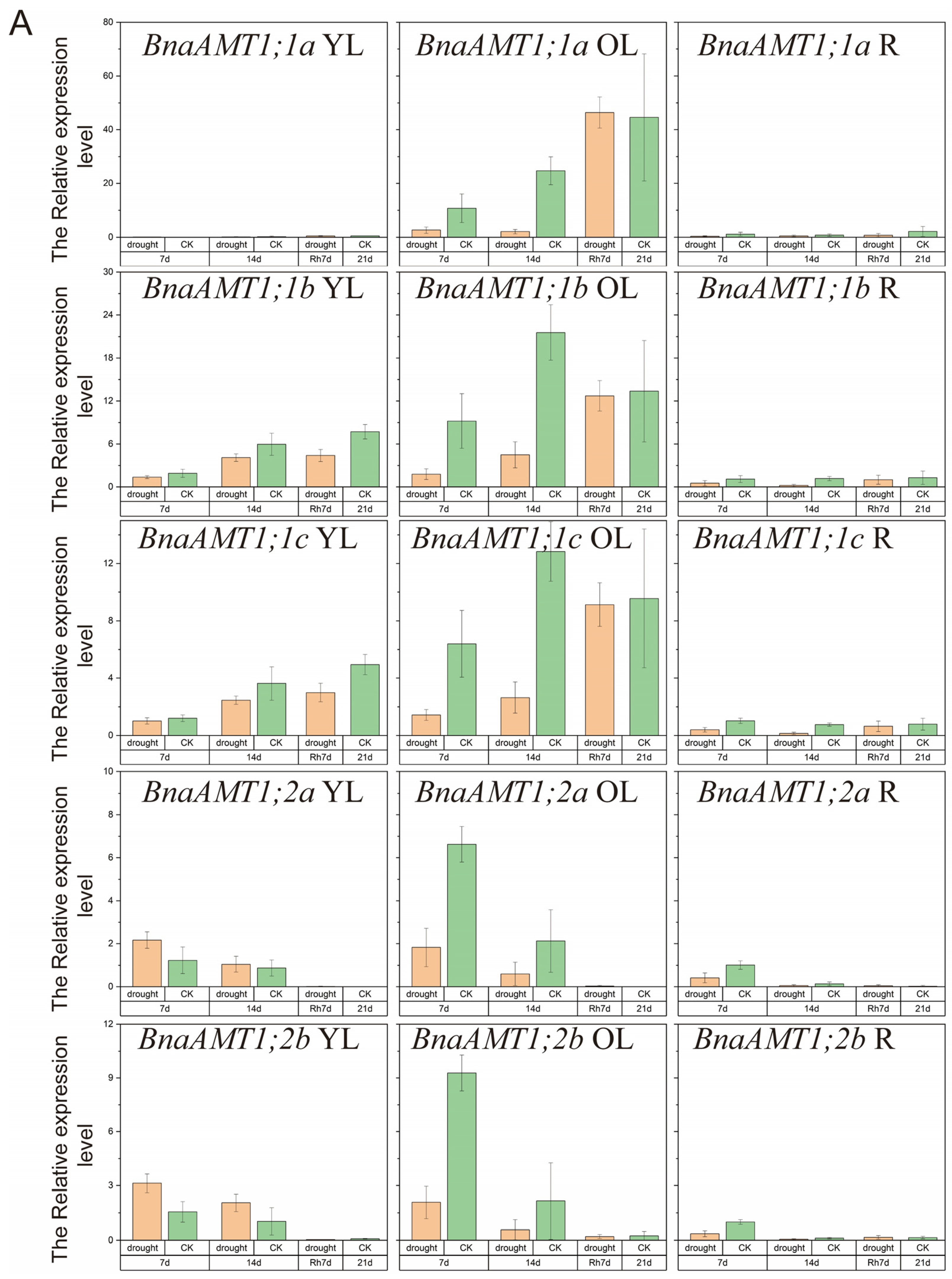 Genes 14 00658 g006a Genes 14 00658 g006a