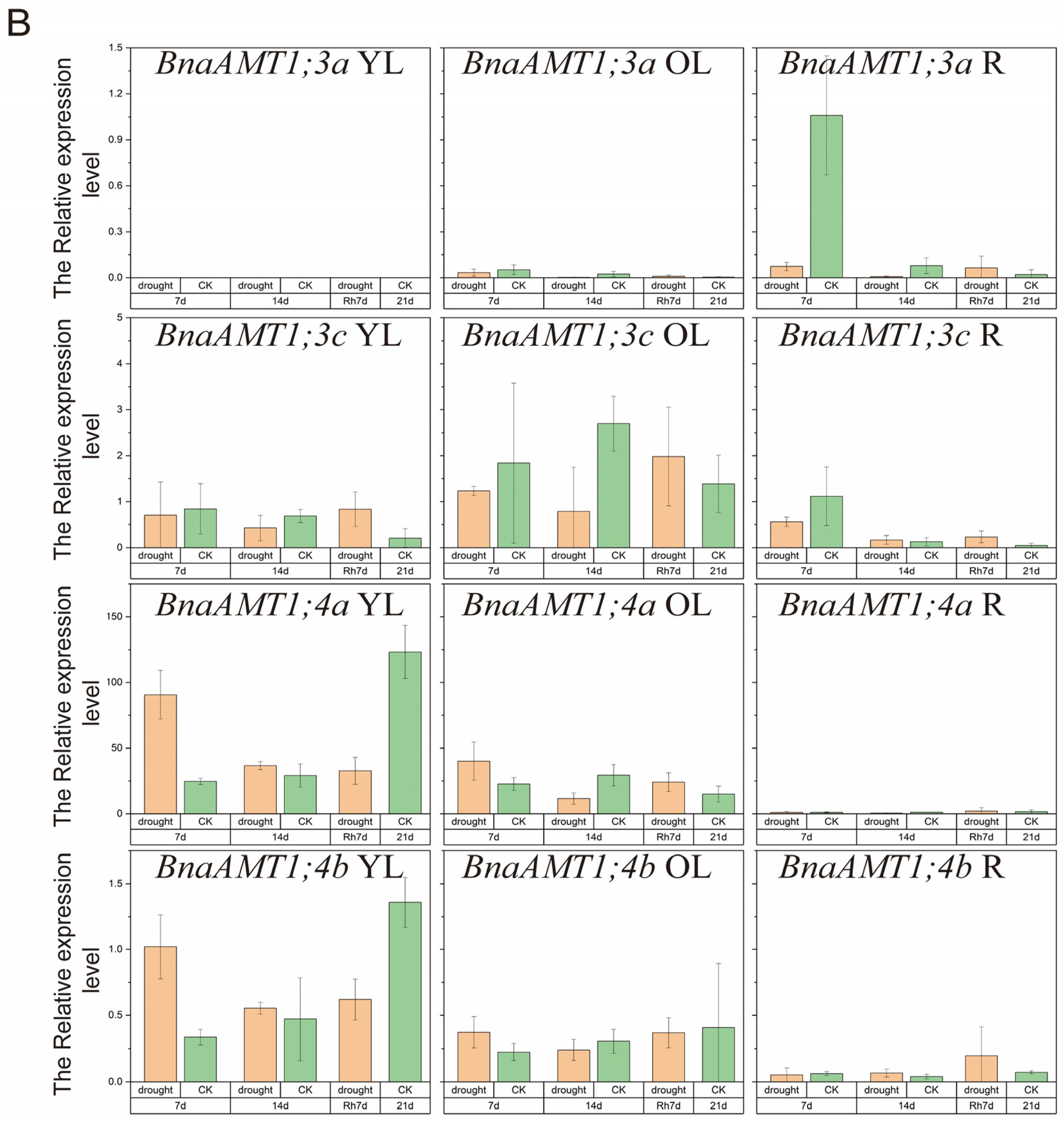 Genes 14 00658 g006b Genes 14 00658 g006b
