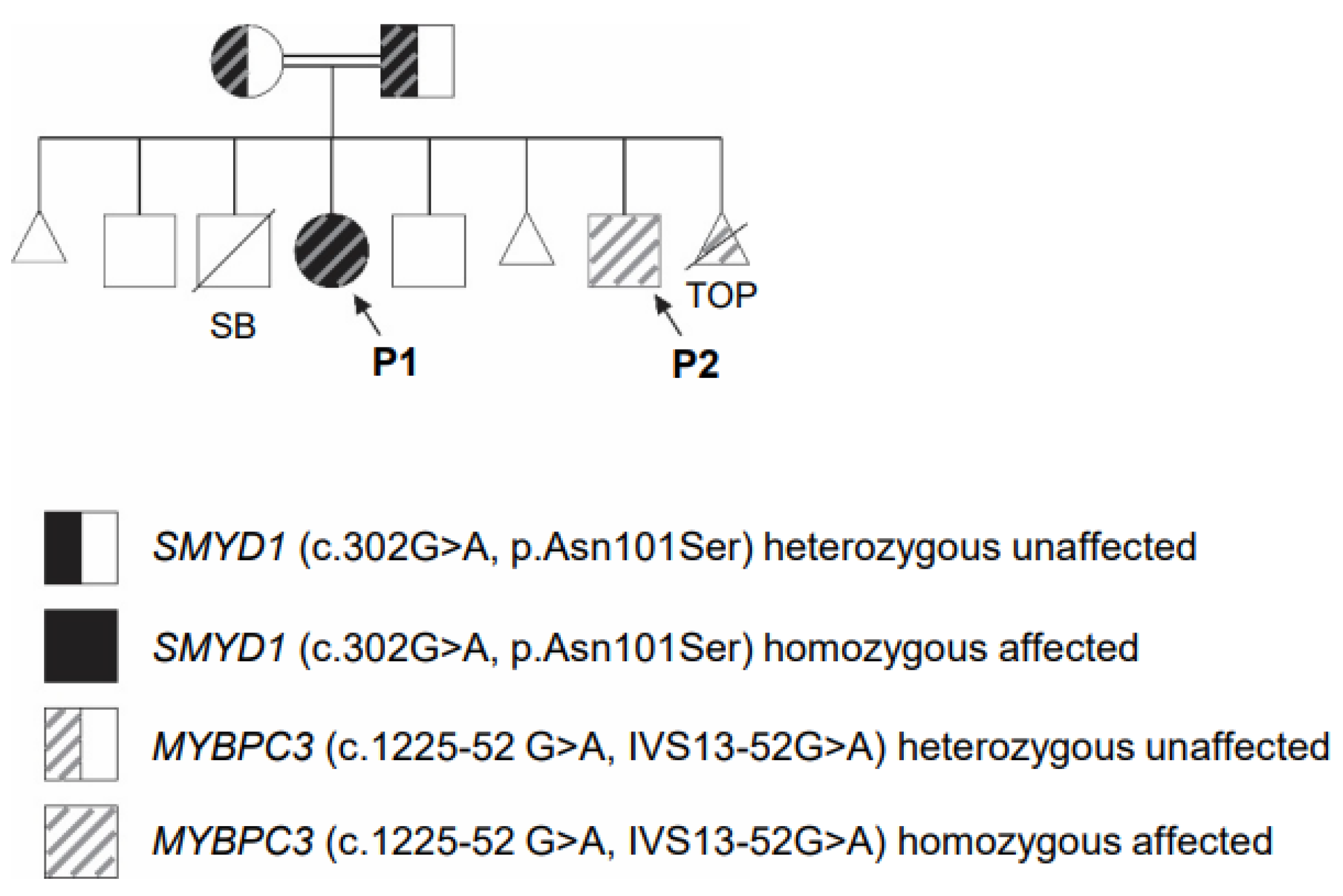 Genes 14 00659 g001 Genes 14 00659 g001