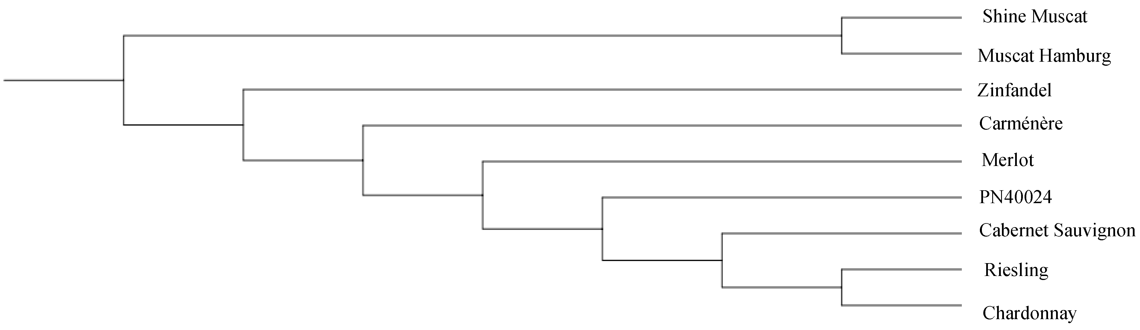 Genes 14 00663 g005 Genes 14 00663 g005