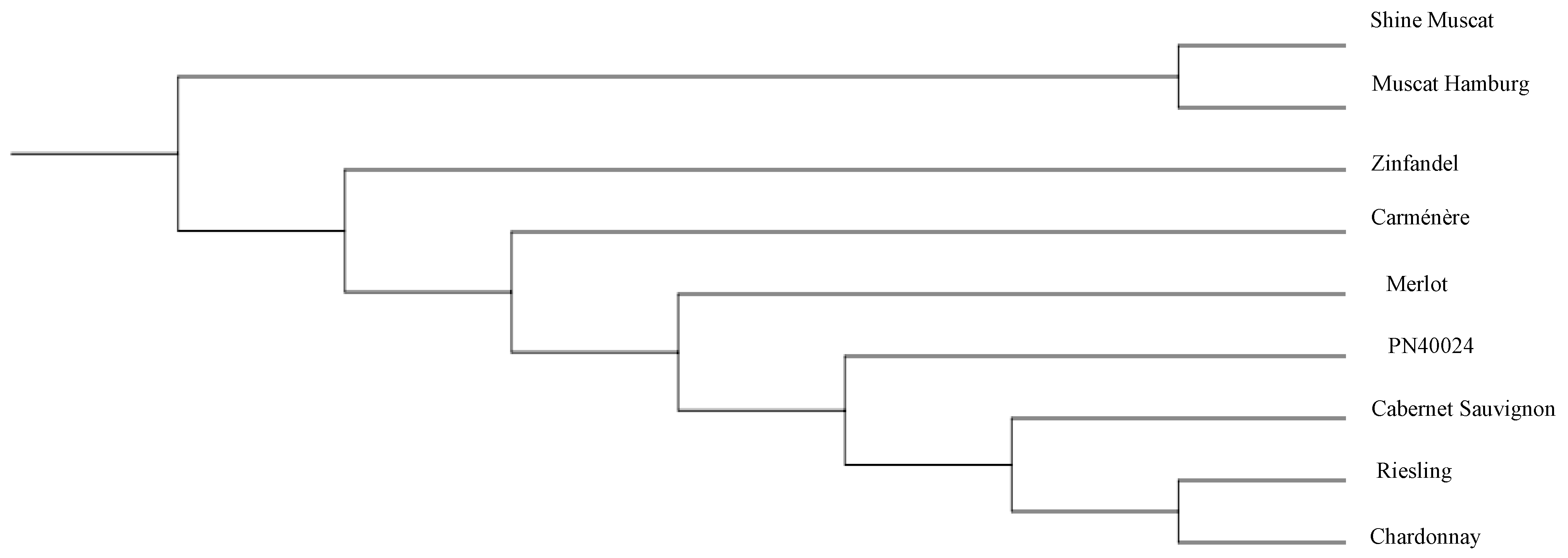 Genes 14 00663 g006 Genes 14 00663 g006