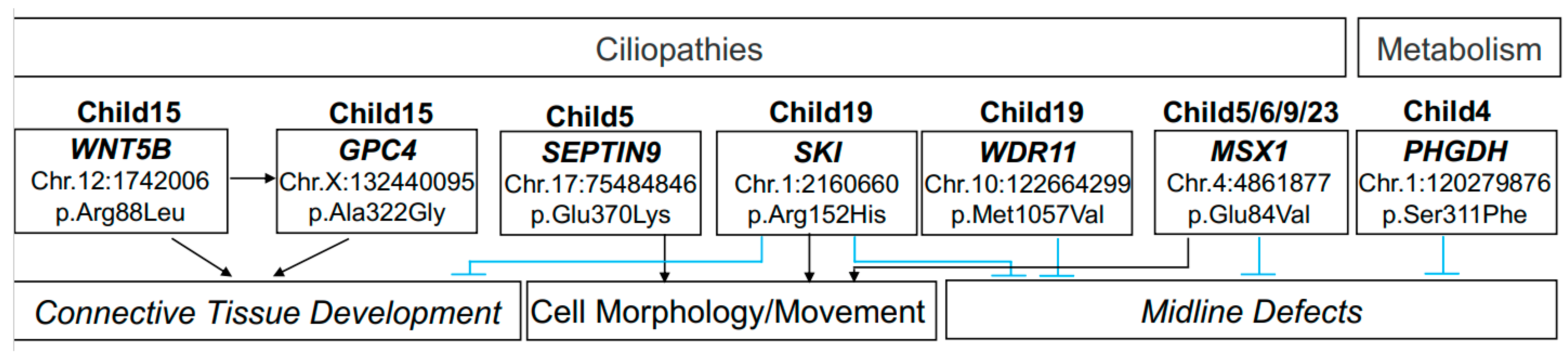 Genes 14 00665 g002