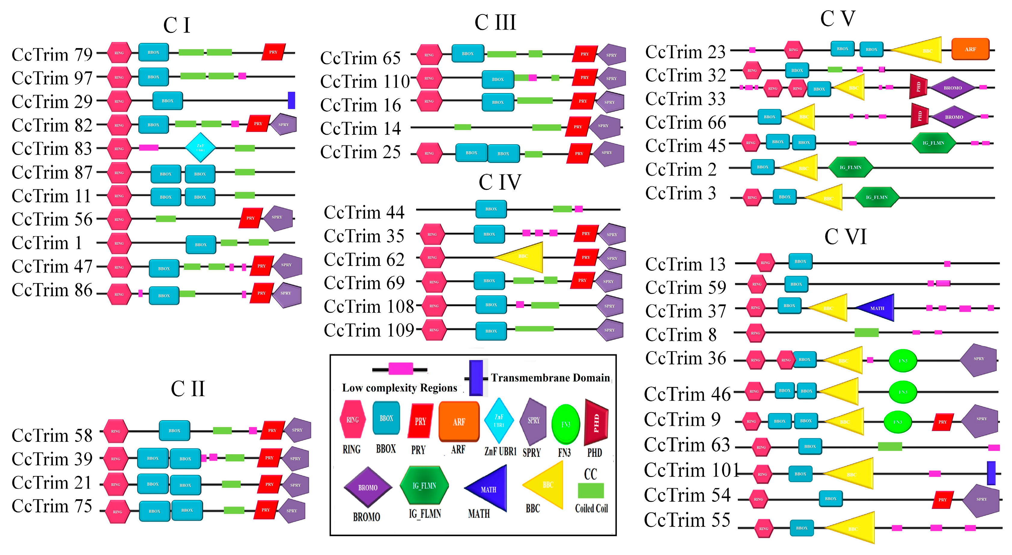 Genes 14 00667 g004