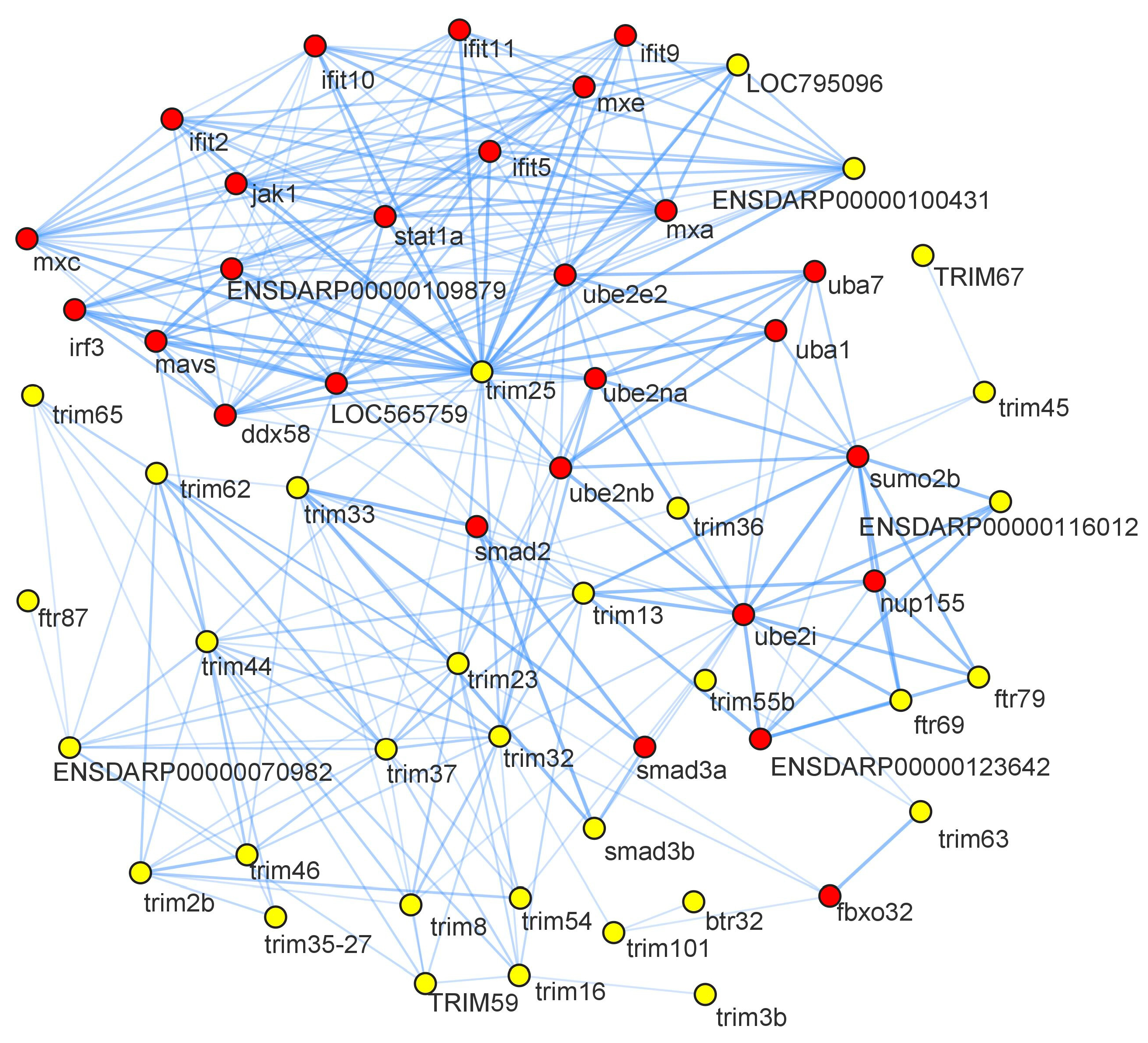 Genes 14 00667 g008