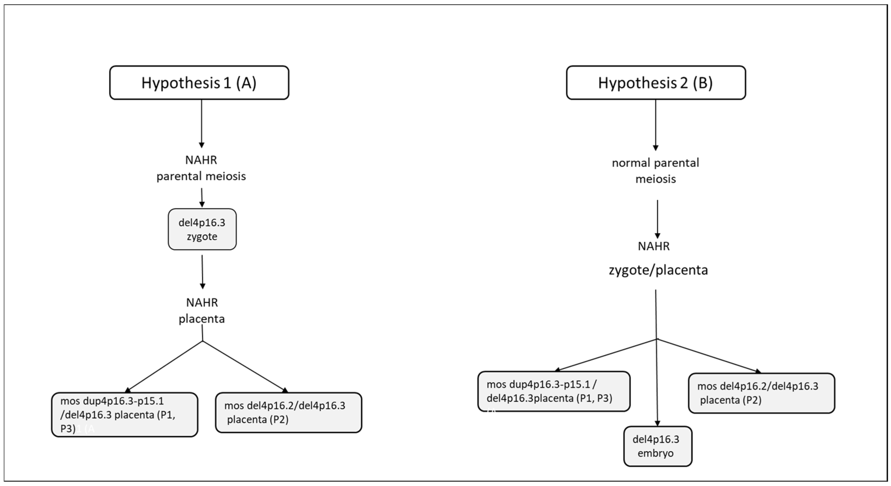 Genes 14 00668 g005 Genes 14 00668 g005