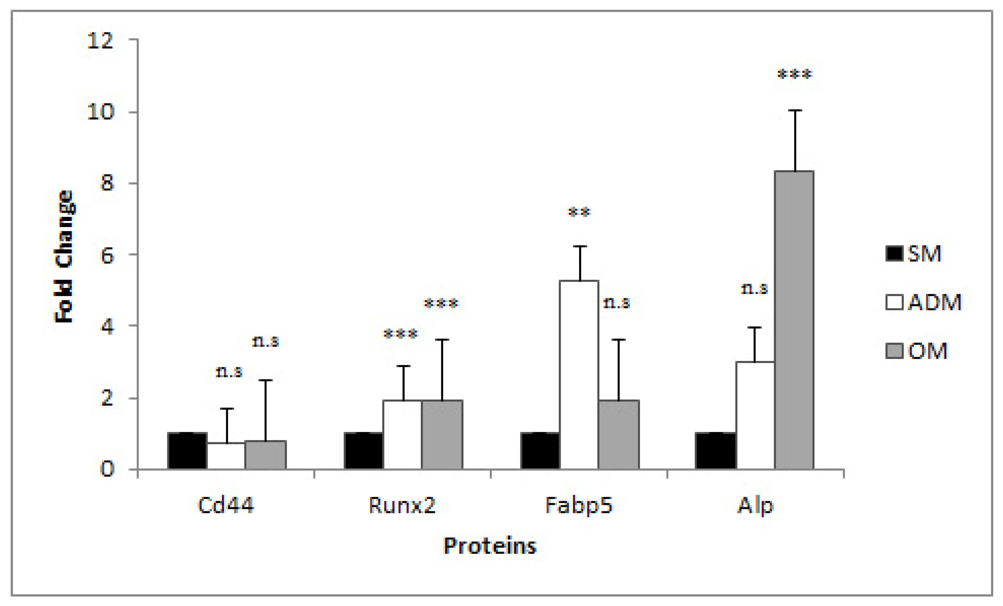 Genes 14 00673 g002 Genes 14 00673 g002
