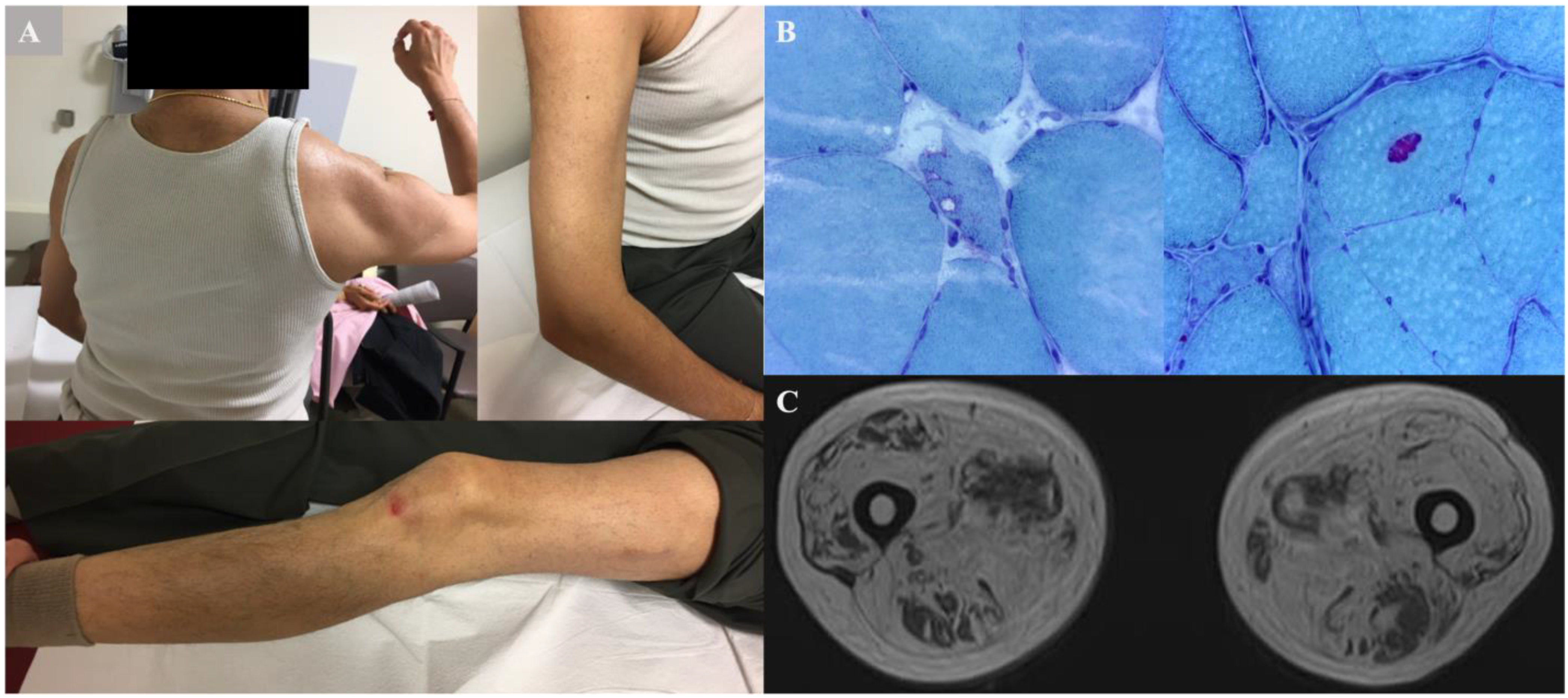Genes 14 00676 g002 Genes 14 00676 g002