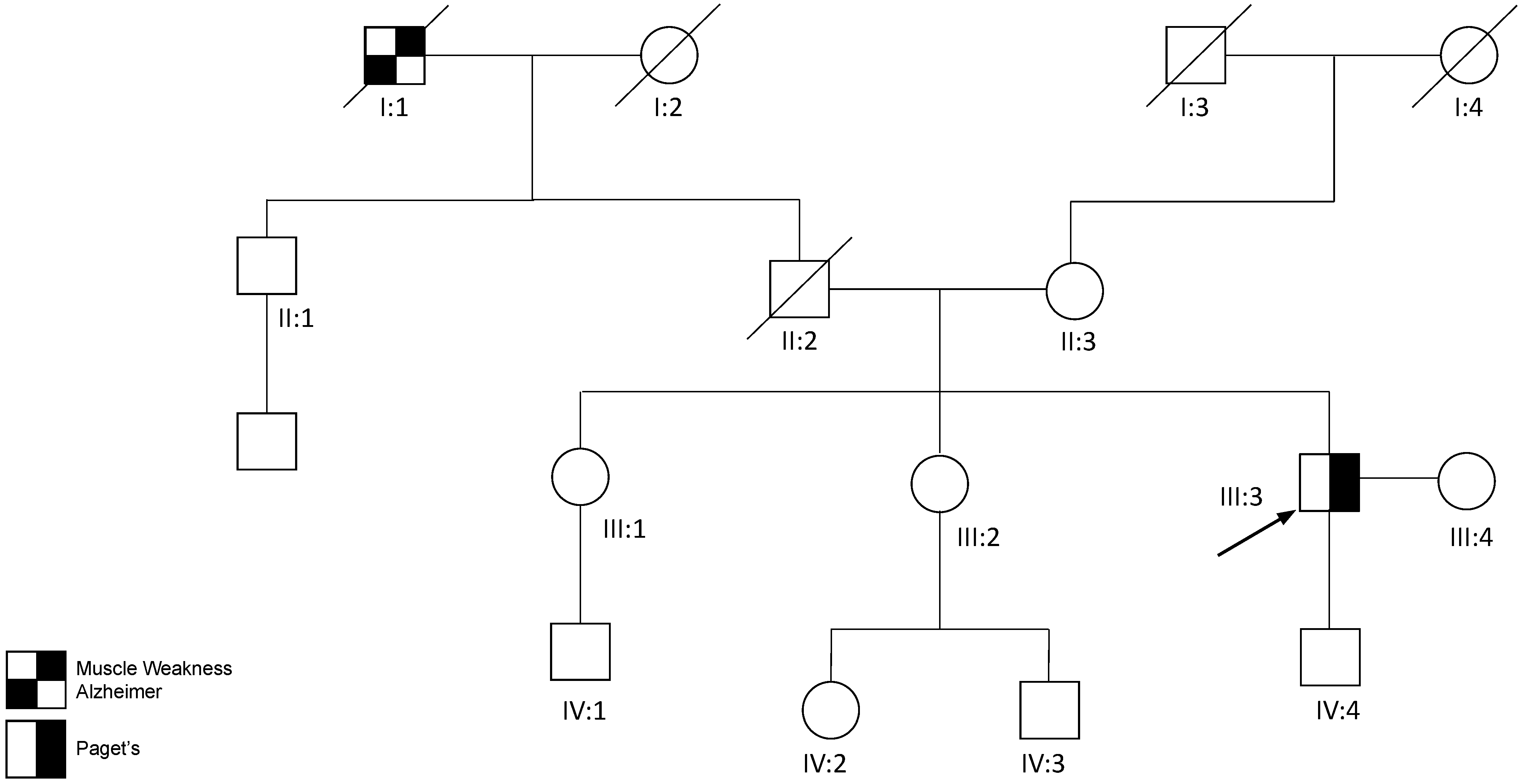 Genes 14 00676 g004 Genes 14 00676 g004