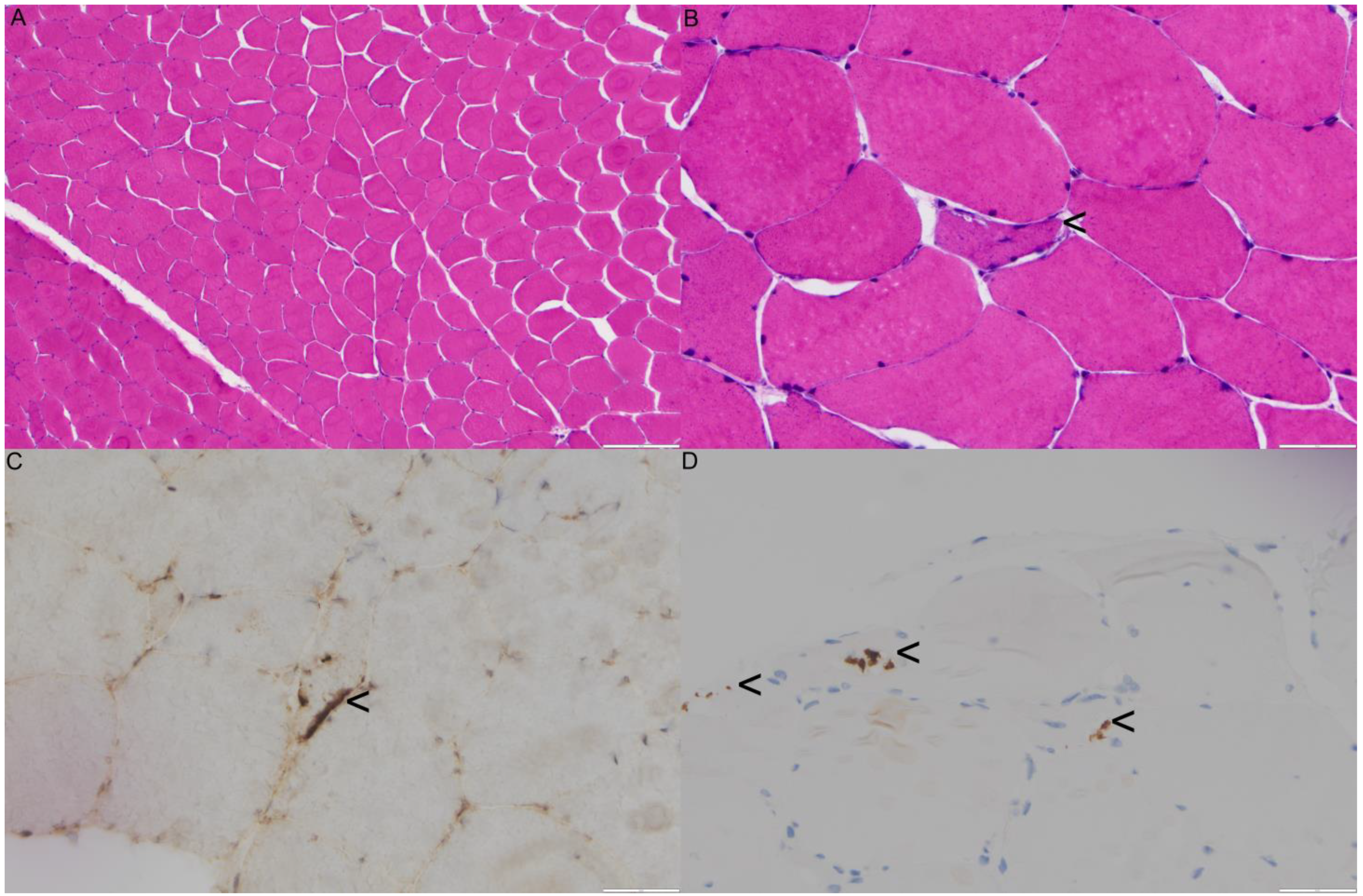 Genes 14 00676 g005 Genes 14 00676 g005