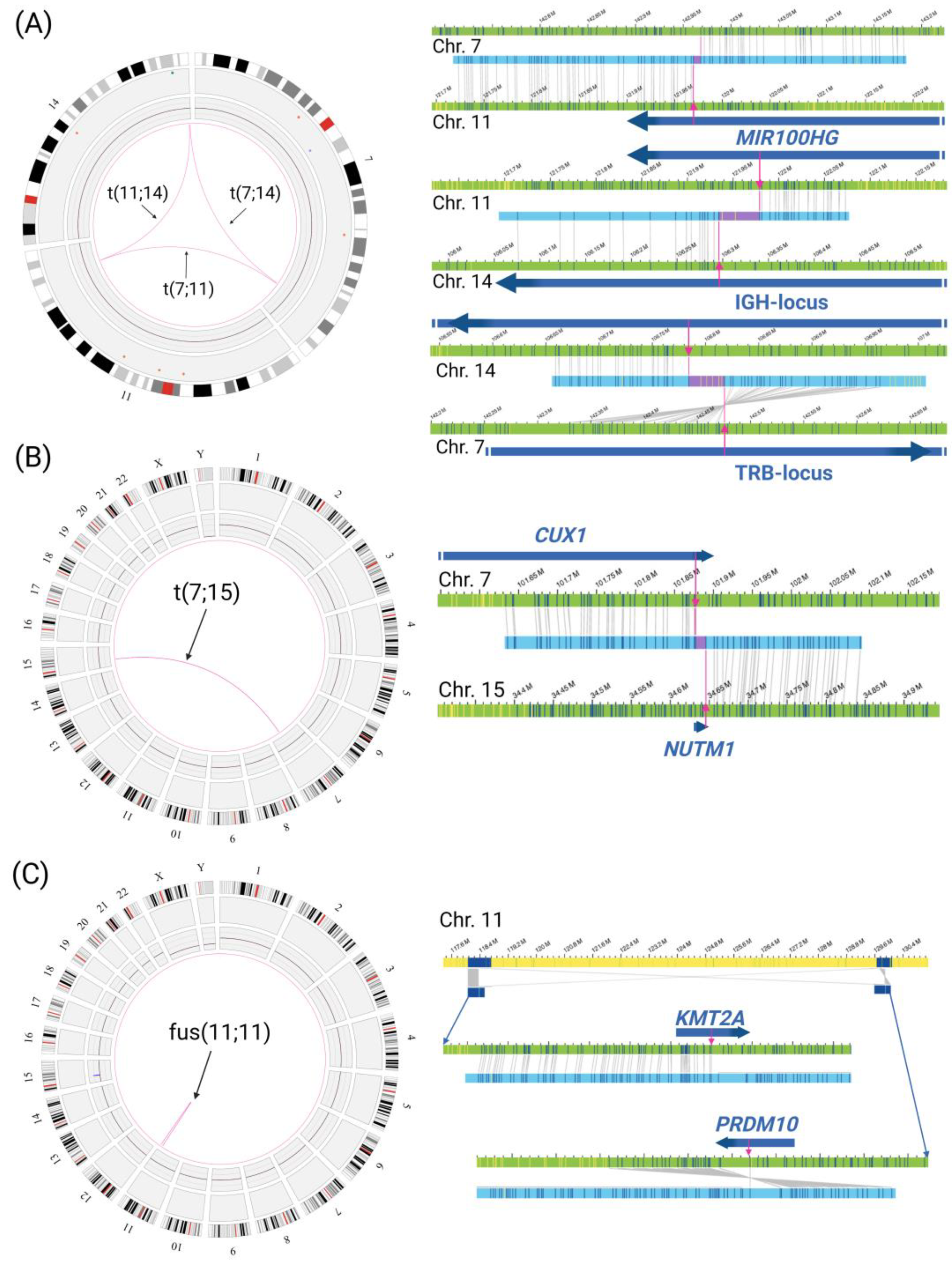 Genes 14 00686 g002