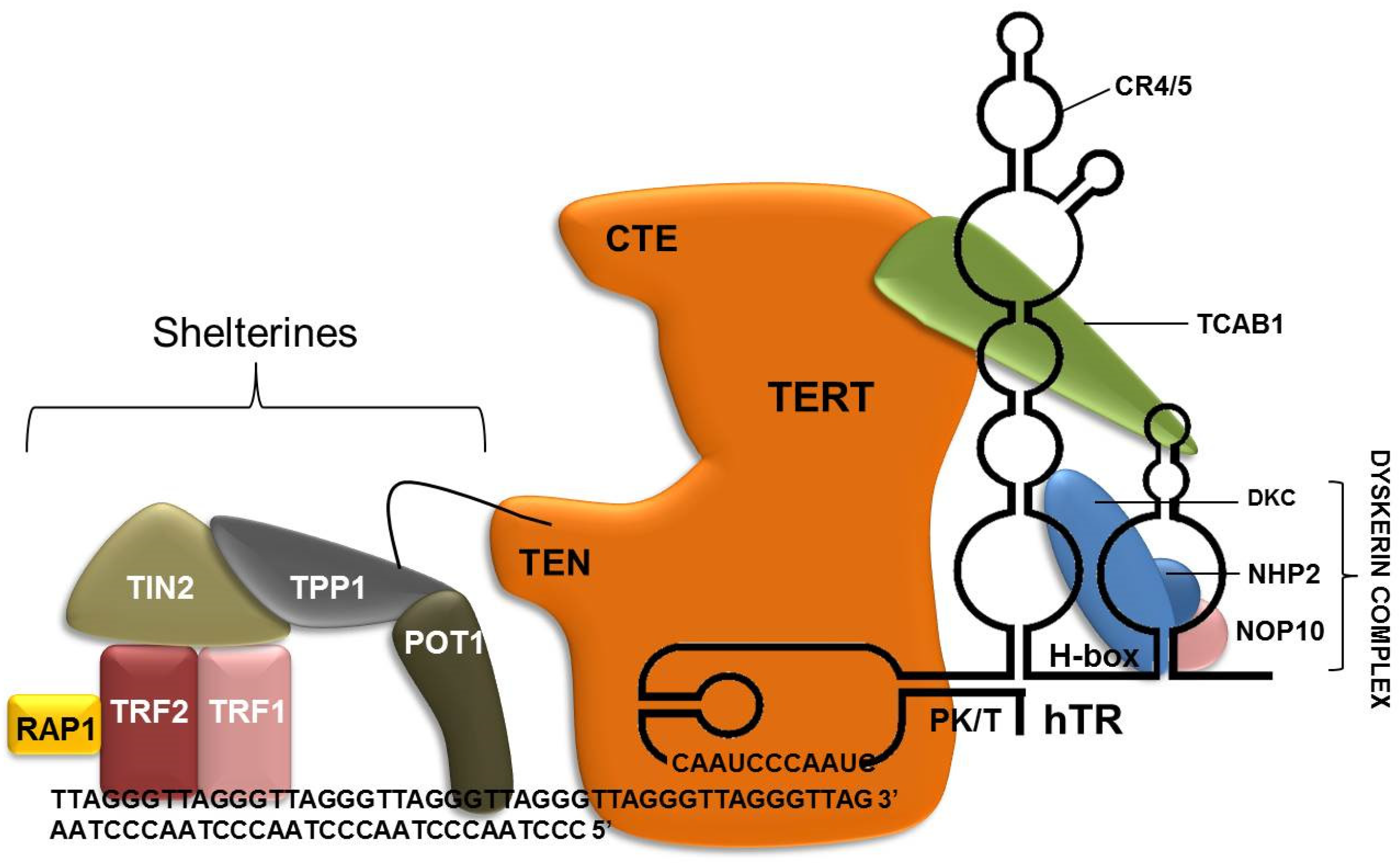 Genes 14 00691 g001 Genes 14 00691 g001