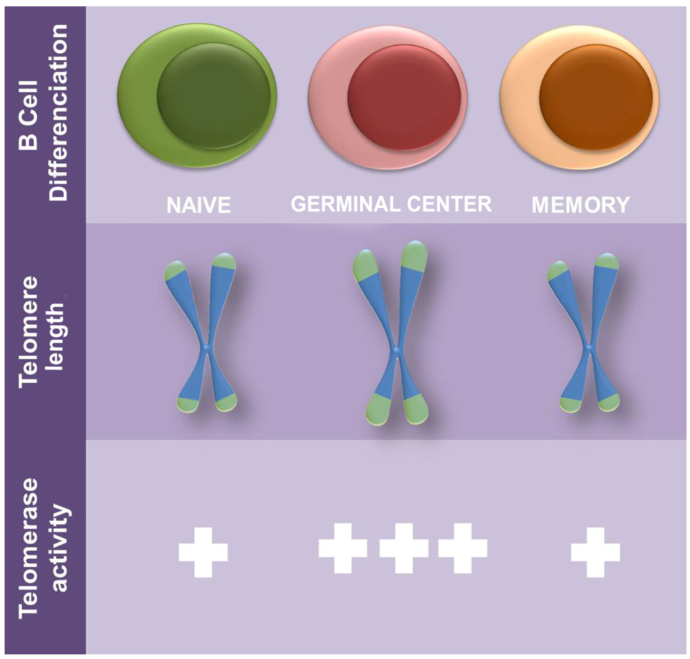 Genes 14 00691 g002 Genes 14 00691 g002