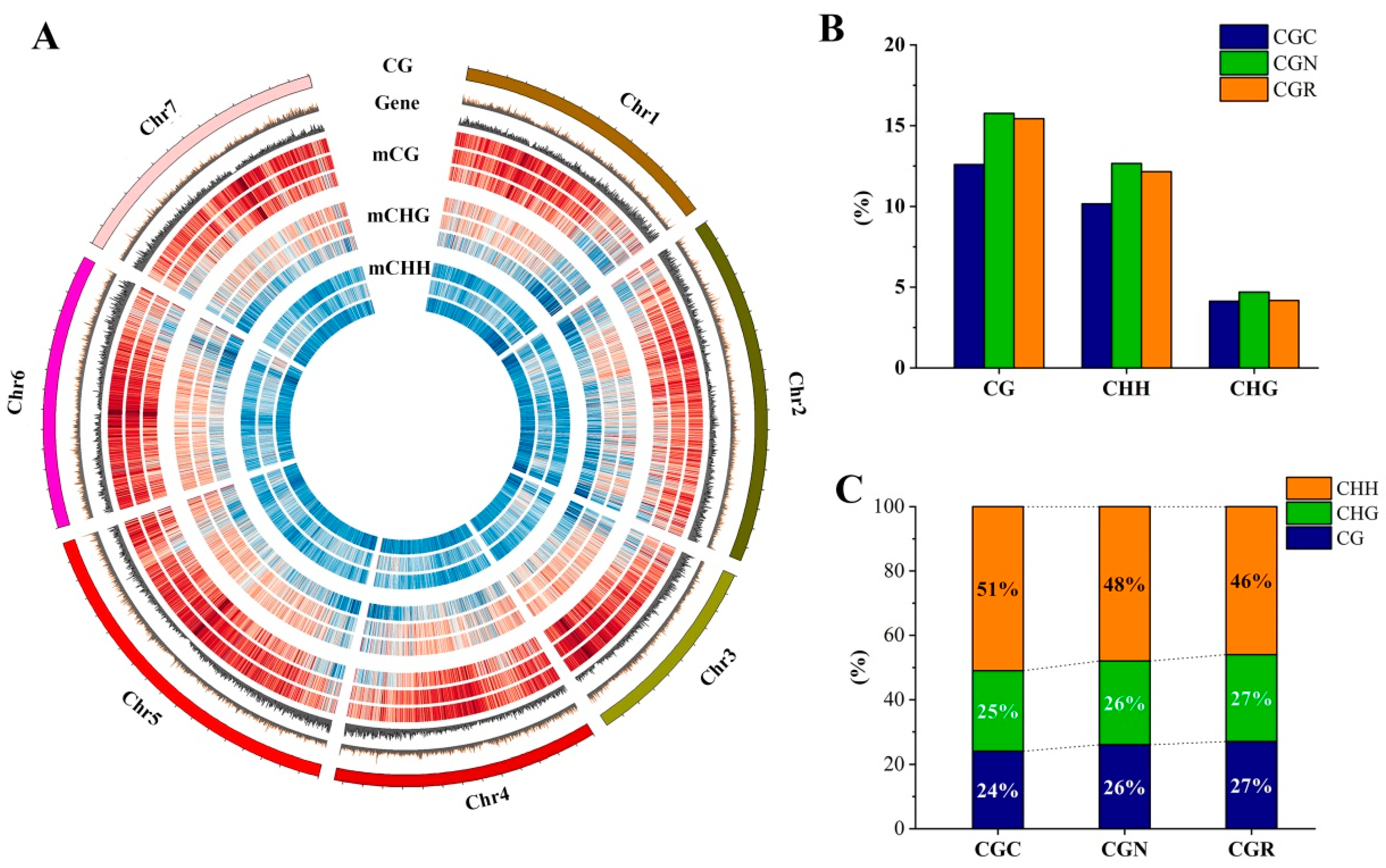Genes 14 00692 g004 Genes 14 00692 g004