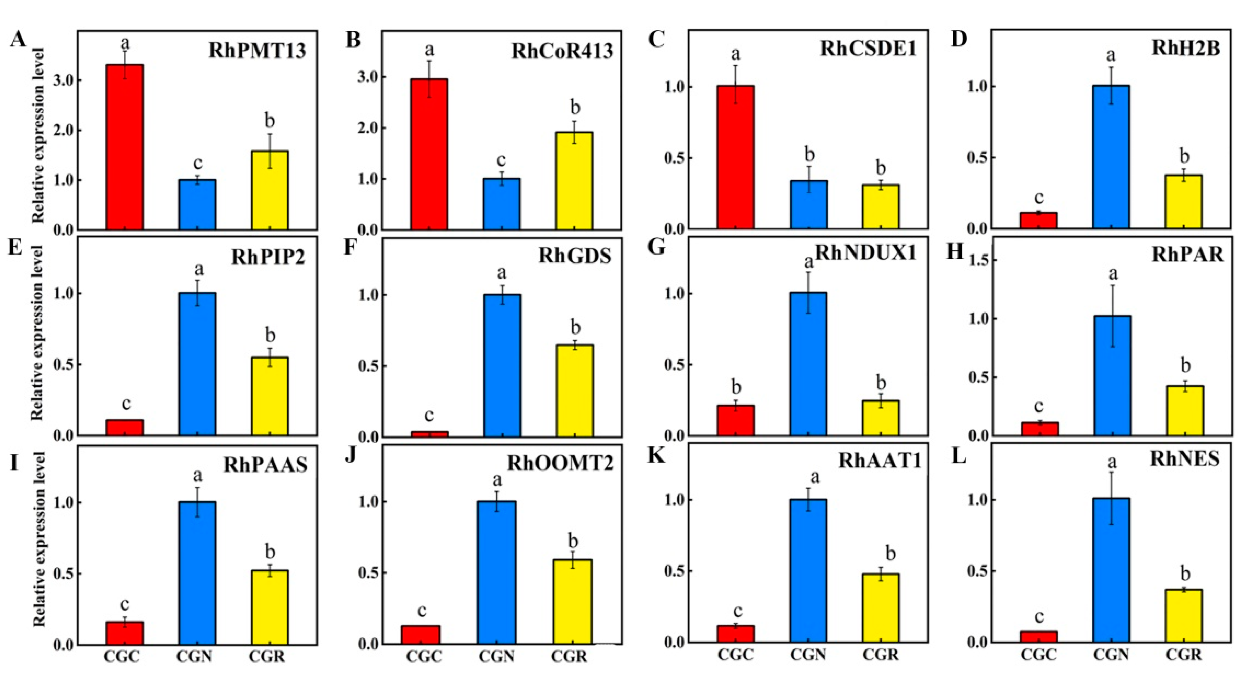 Genes 14 00692 g006 Genes 14 00692 g006