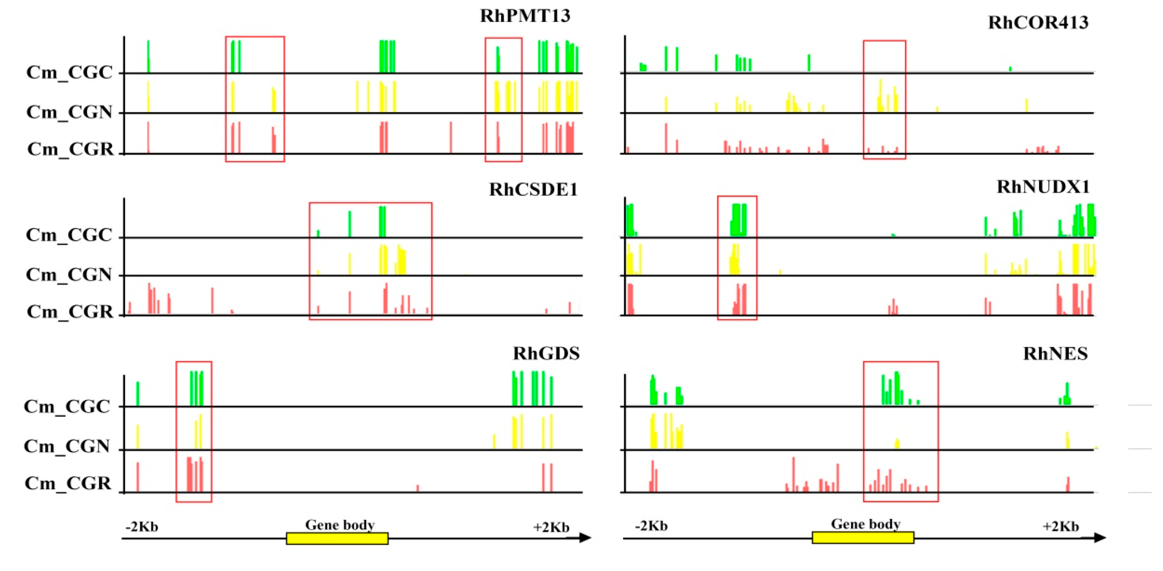 Genes 14 00692 g007 Genes 14 00692 g007