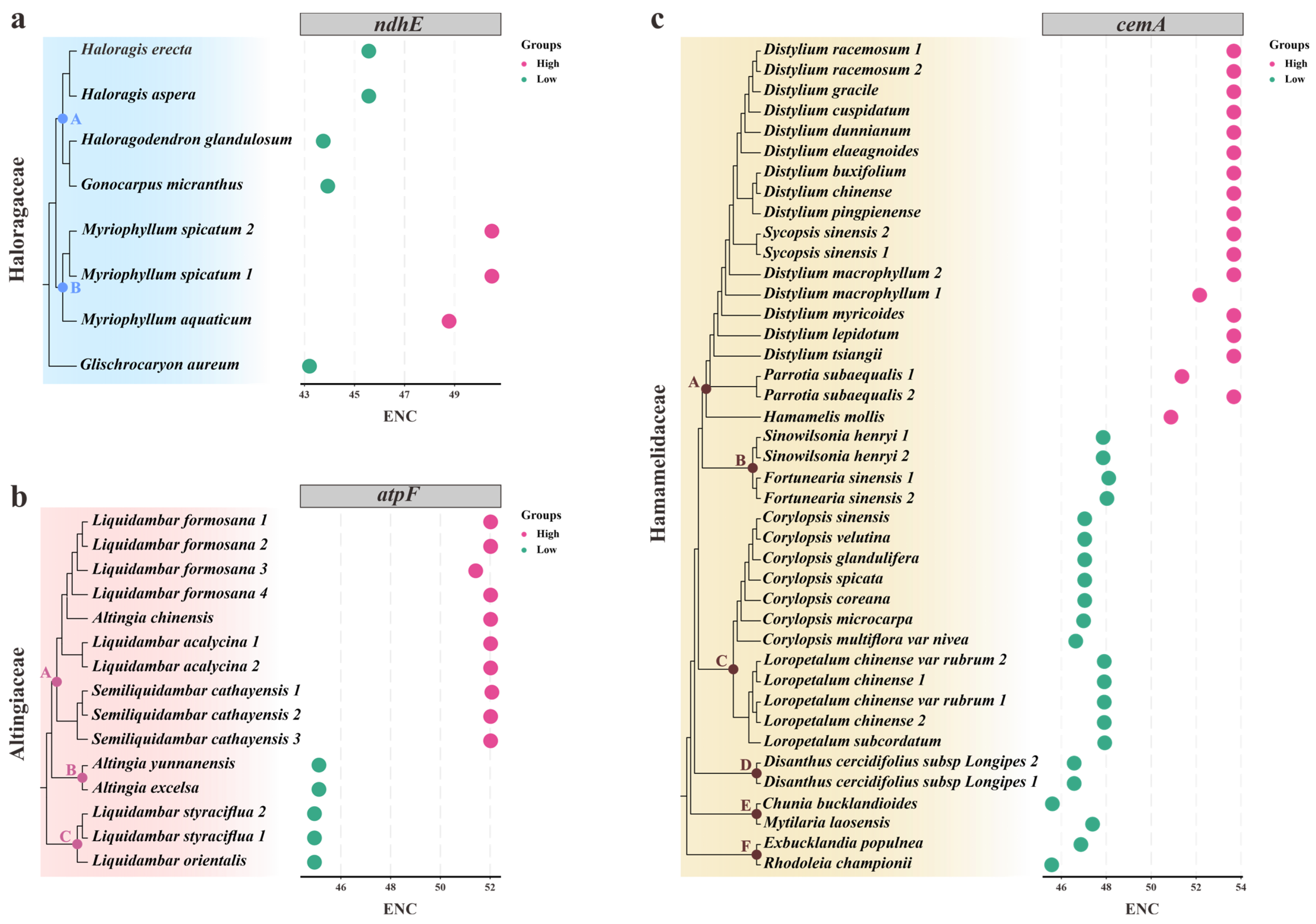 Genes 14 00694 g002 Genes 14 00694 g002