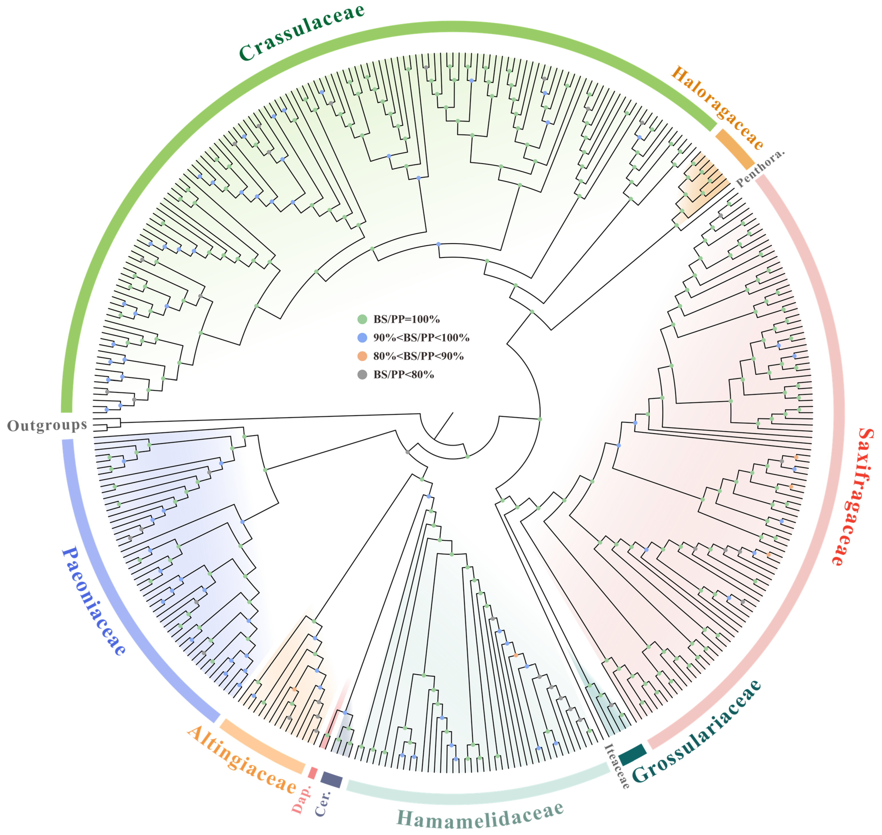 Genes 14 00694 g008 Genes 14 00694 g008
