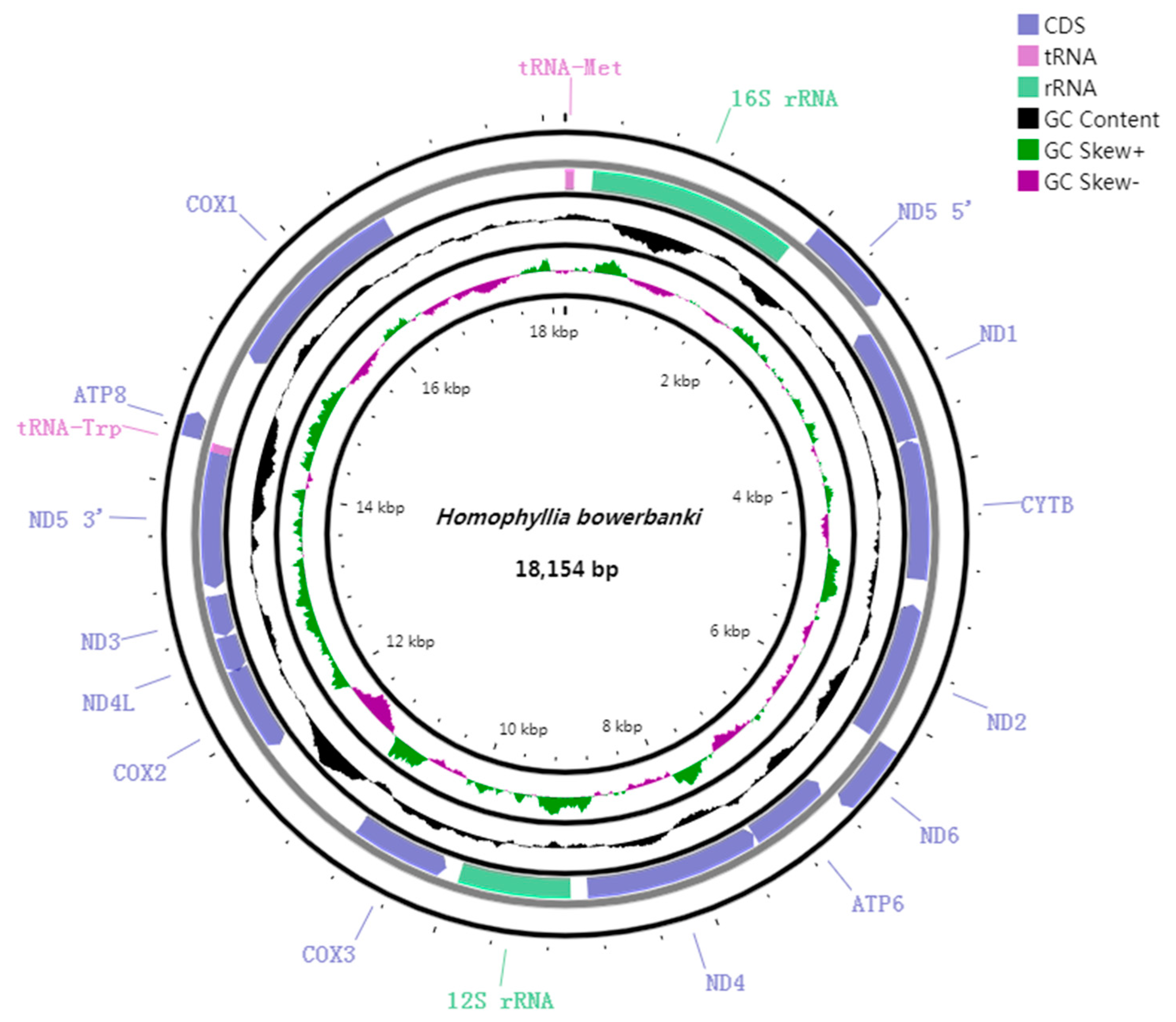 Genes 14 00695 g002 Genes 14 00695 g002