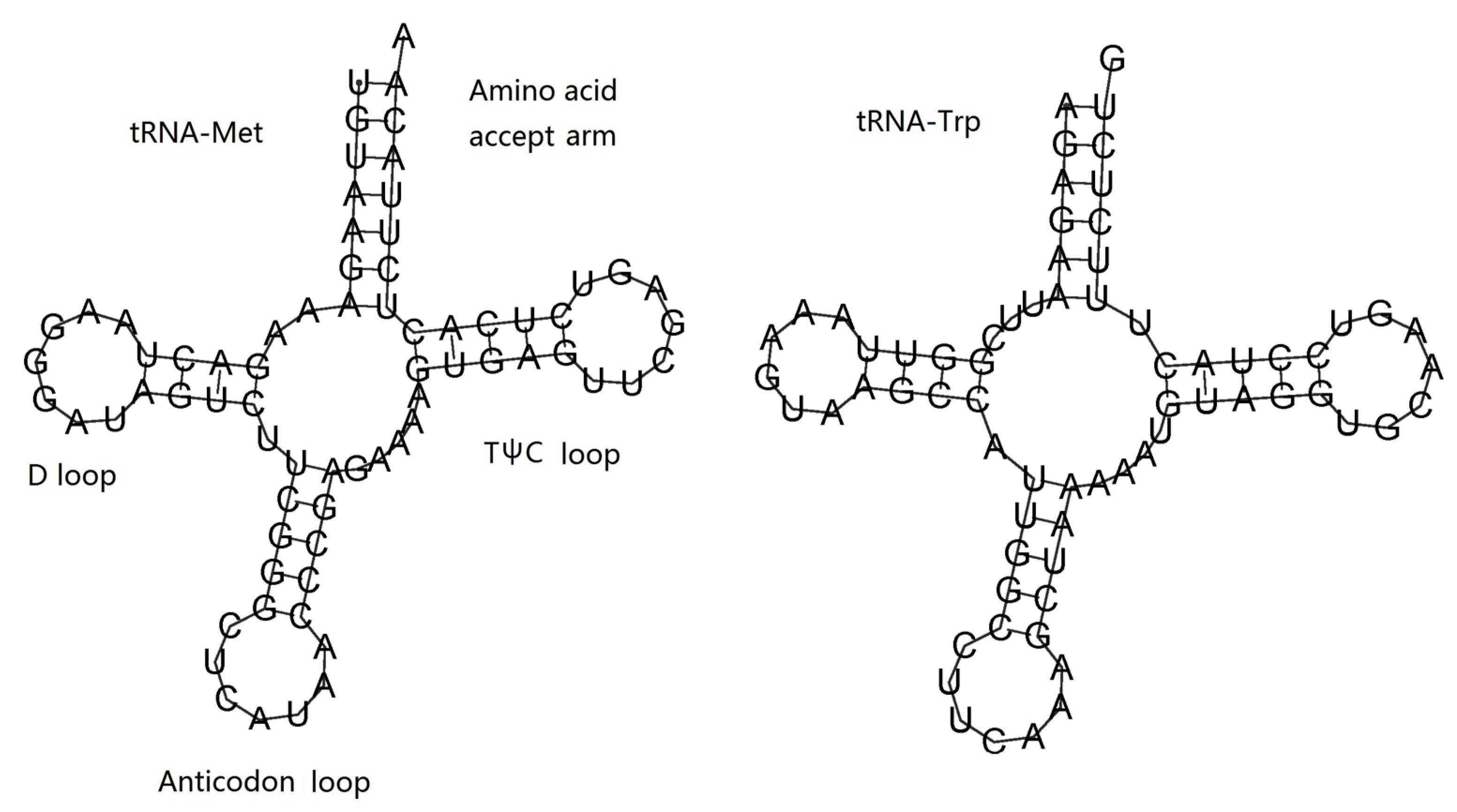Genes 14 00695 g006 Genes 14 00695 g006