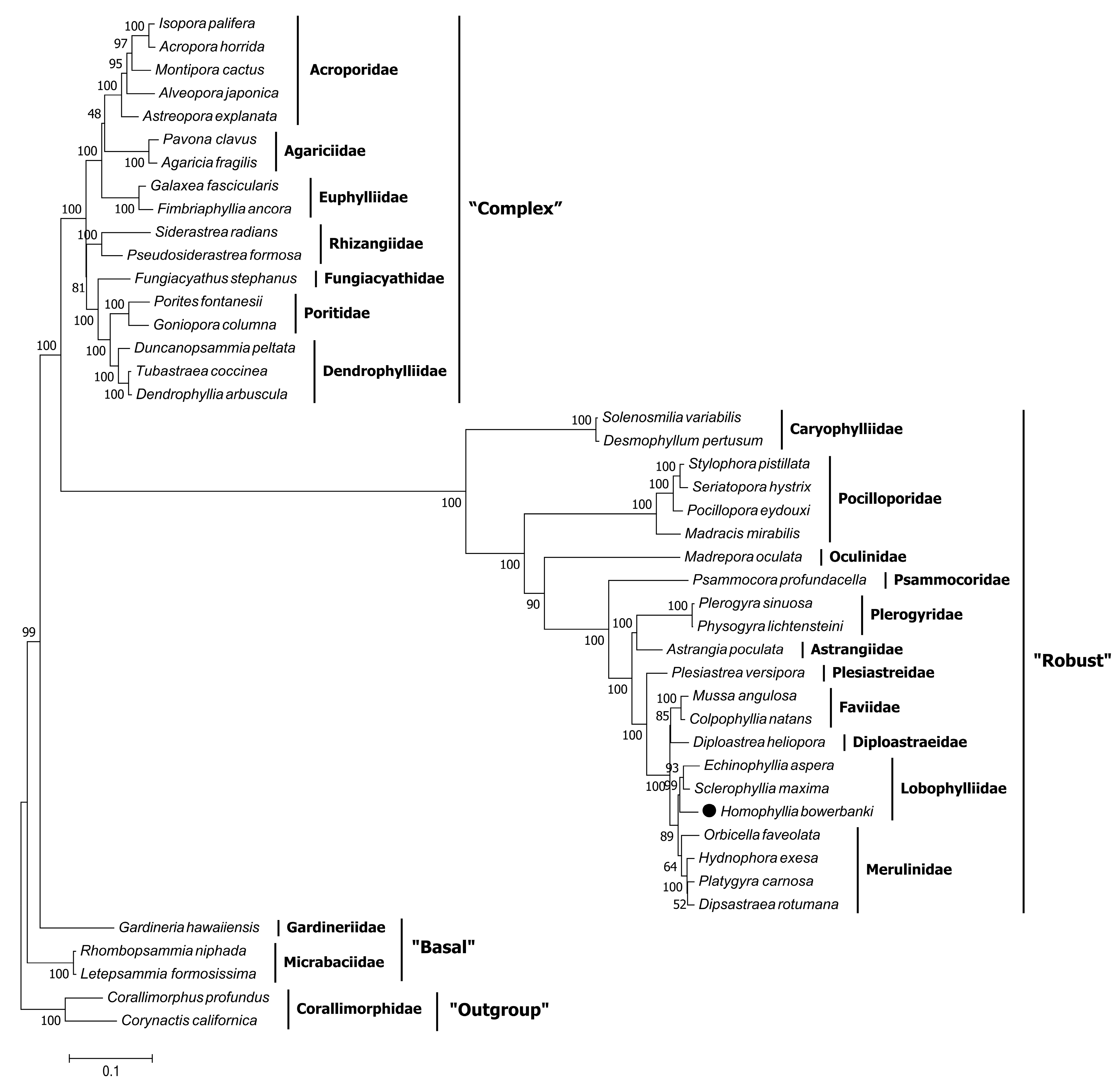 Genes 14 00695 g007 Genes 14 00695 g007