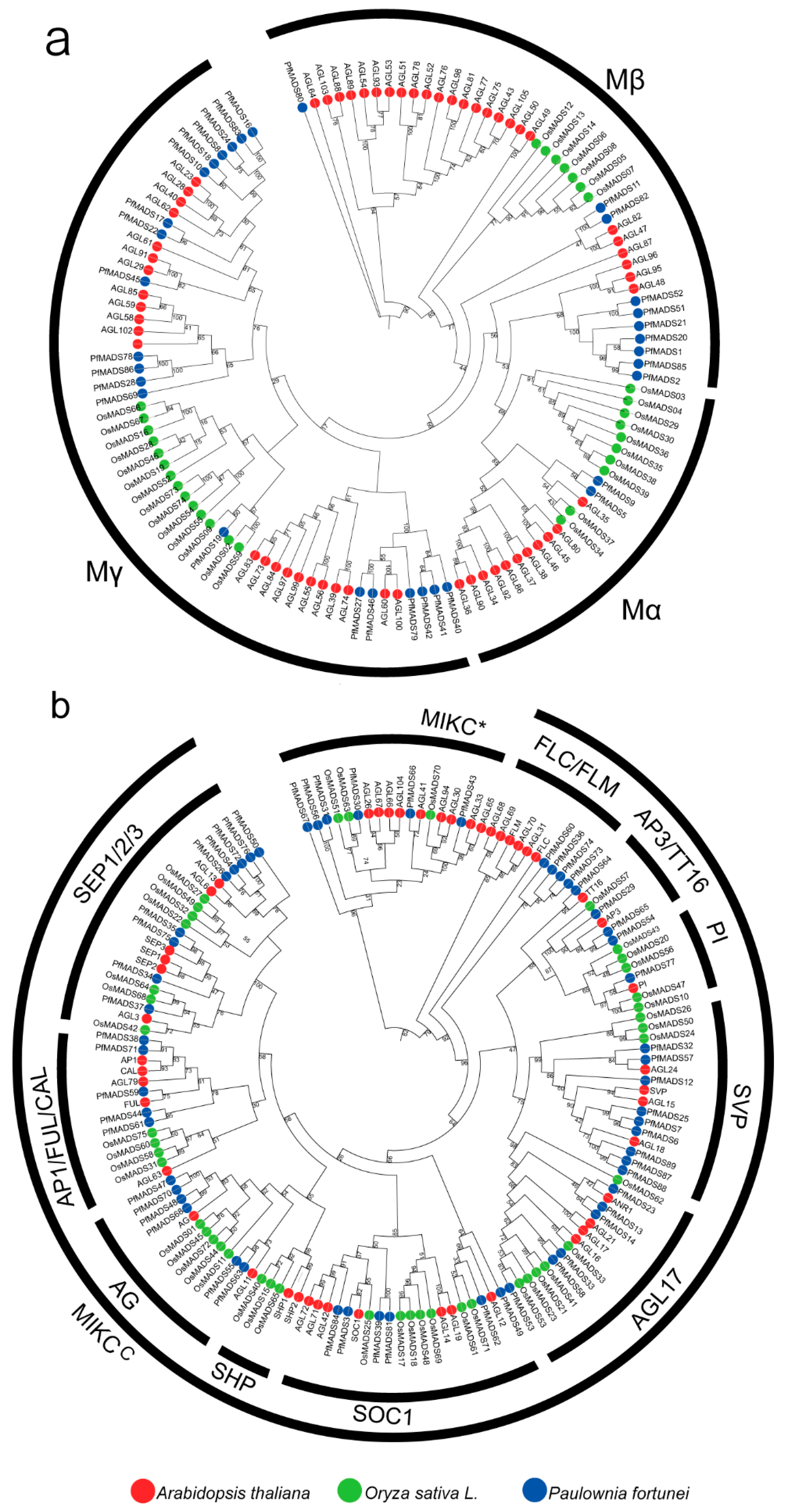 Genes 14 00696 g002 Genes 14 00696 g002