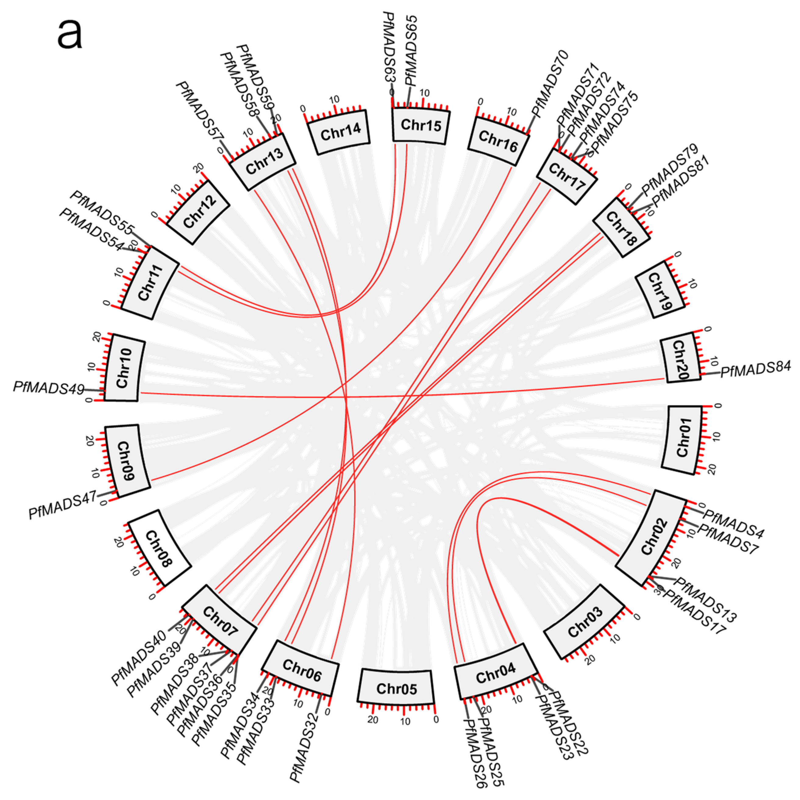 Genes 14 00696 g003a Genes 14 00696 g003a