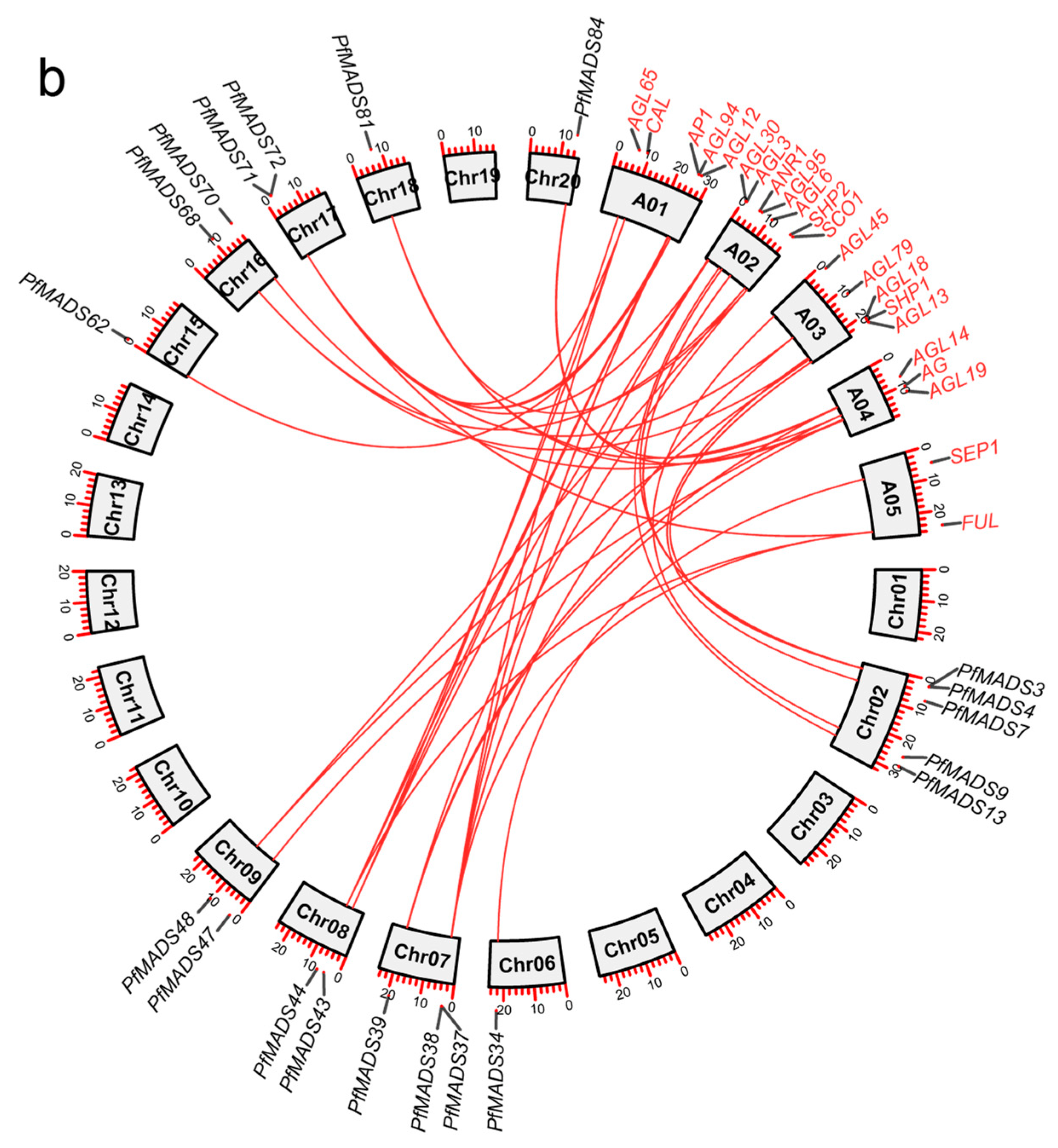 Genes 14 00696 g003b Genes 14 00696 g003b