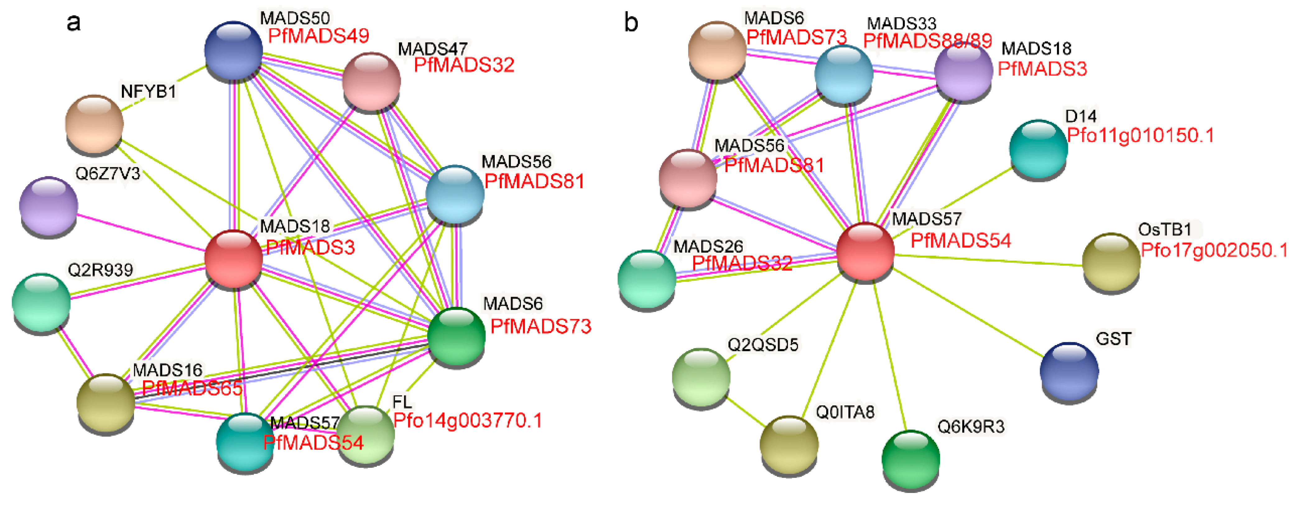 Genes 14 00696 g007 Genes 14 00696 g007