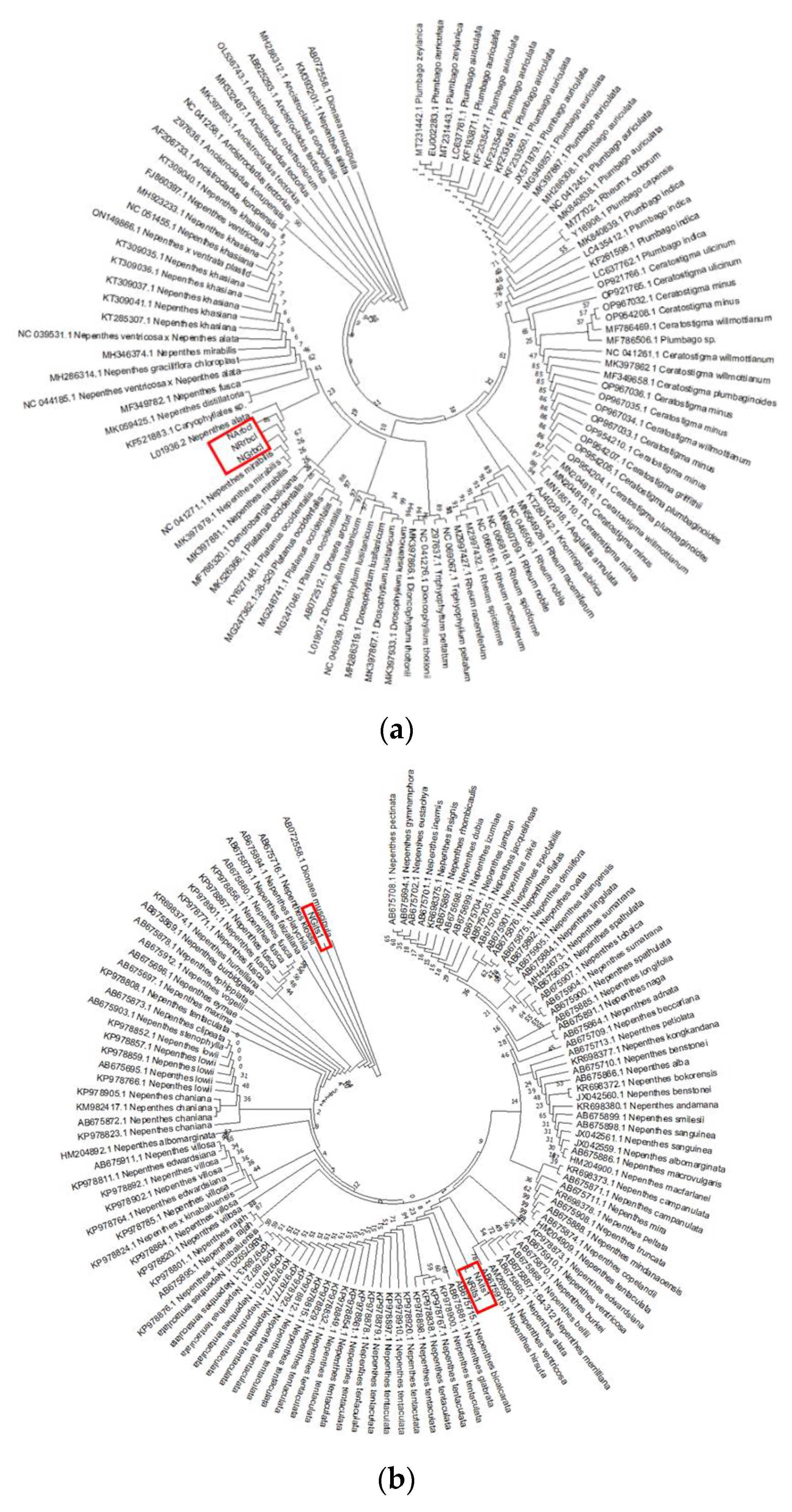 Genes 14 00697 g003a