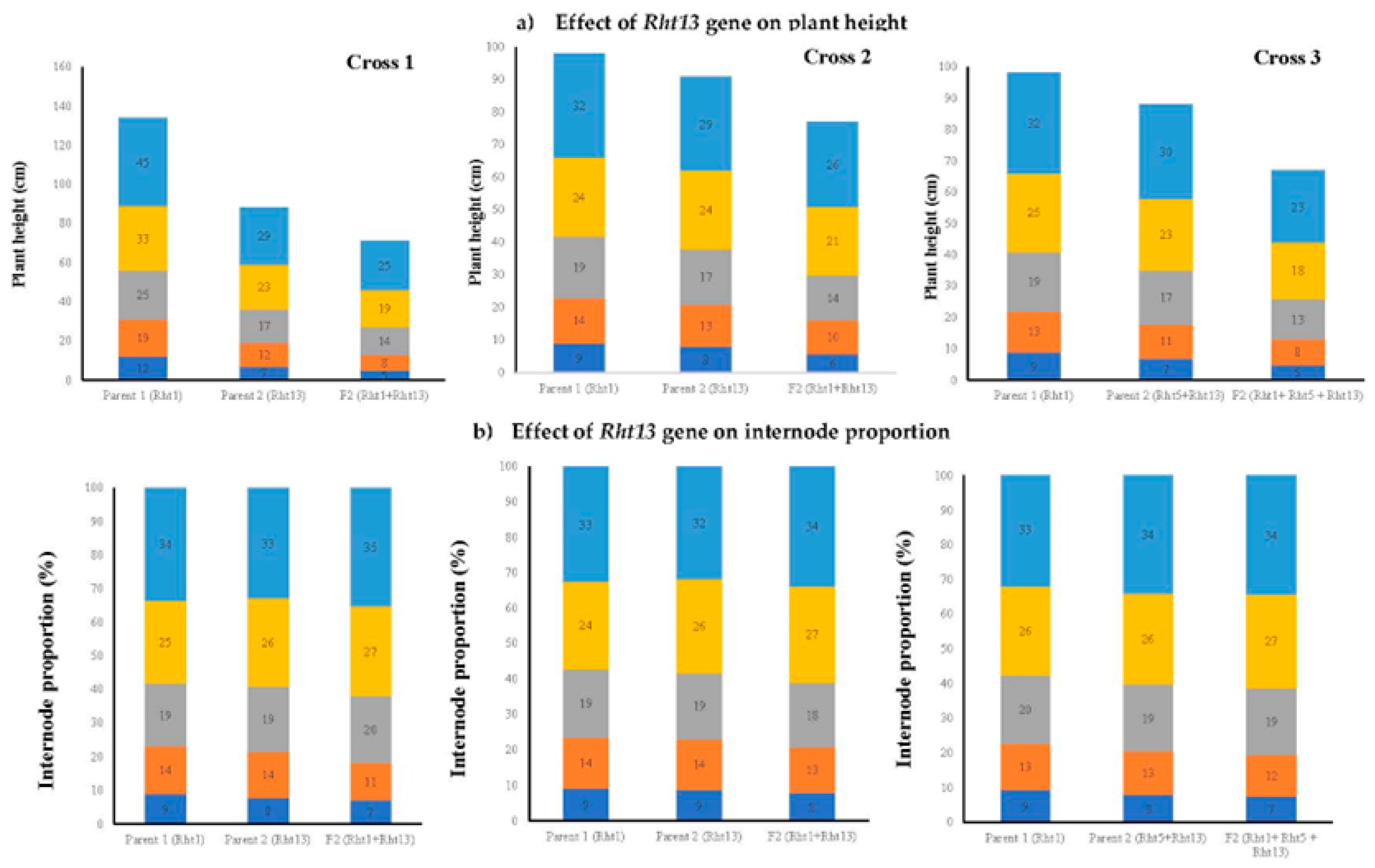 Genes 14 00699 g009