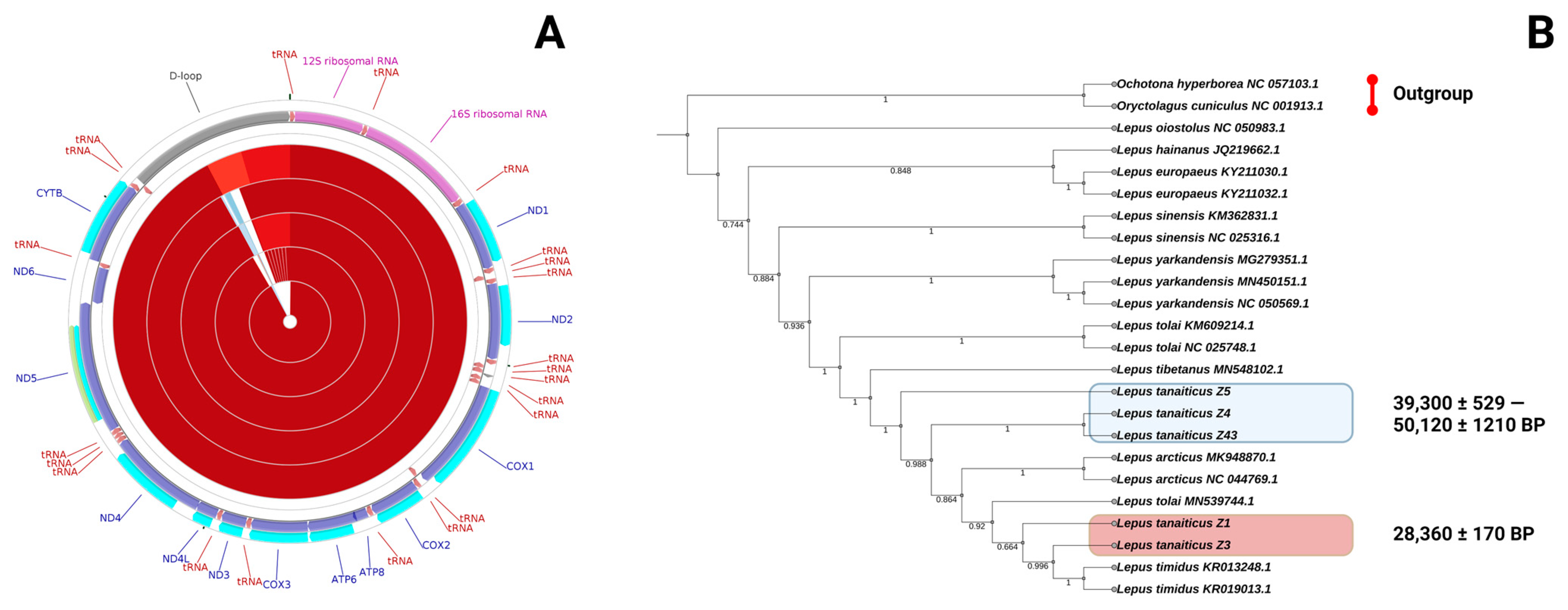 Genes 14 00700 g003 Genes 14 00700 g003