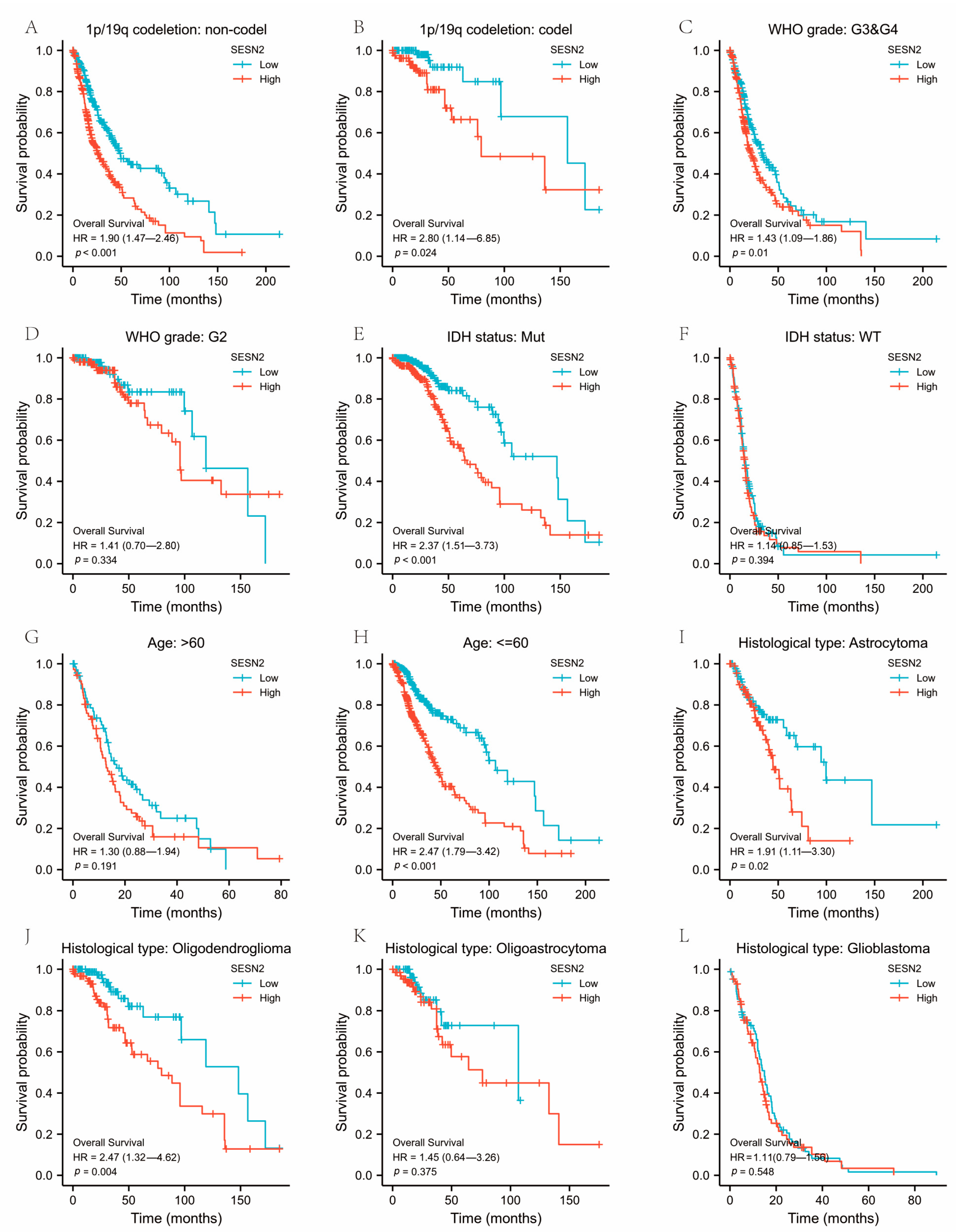 Genes 14 00701 g003 Genes 14 00701 g003